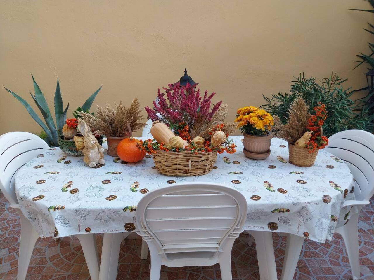 Il giardino di Marimar