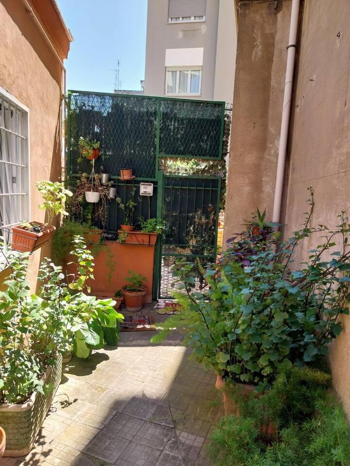 Il giardino di Marimar