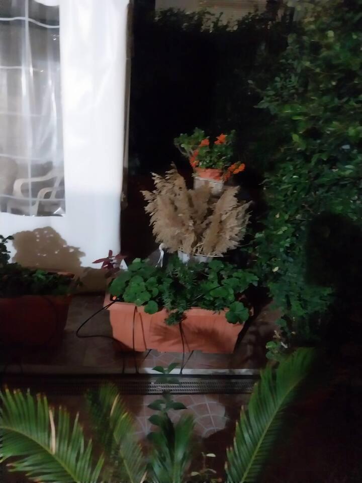 Il giardino di Marimar