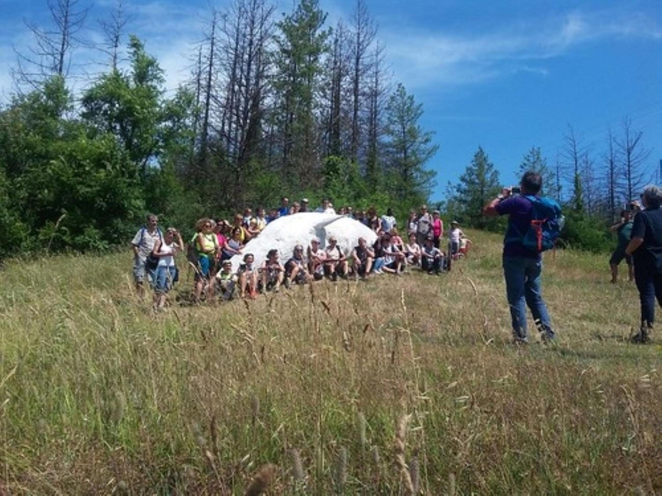 Photo 45