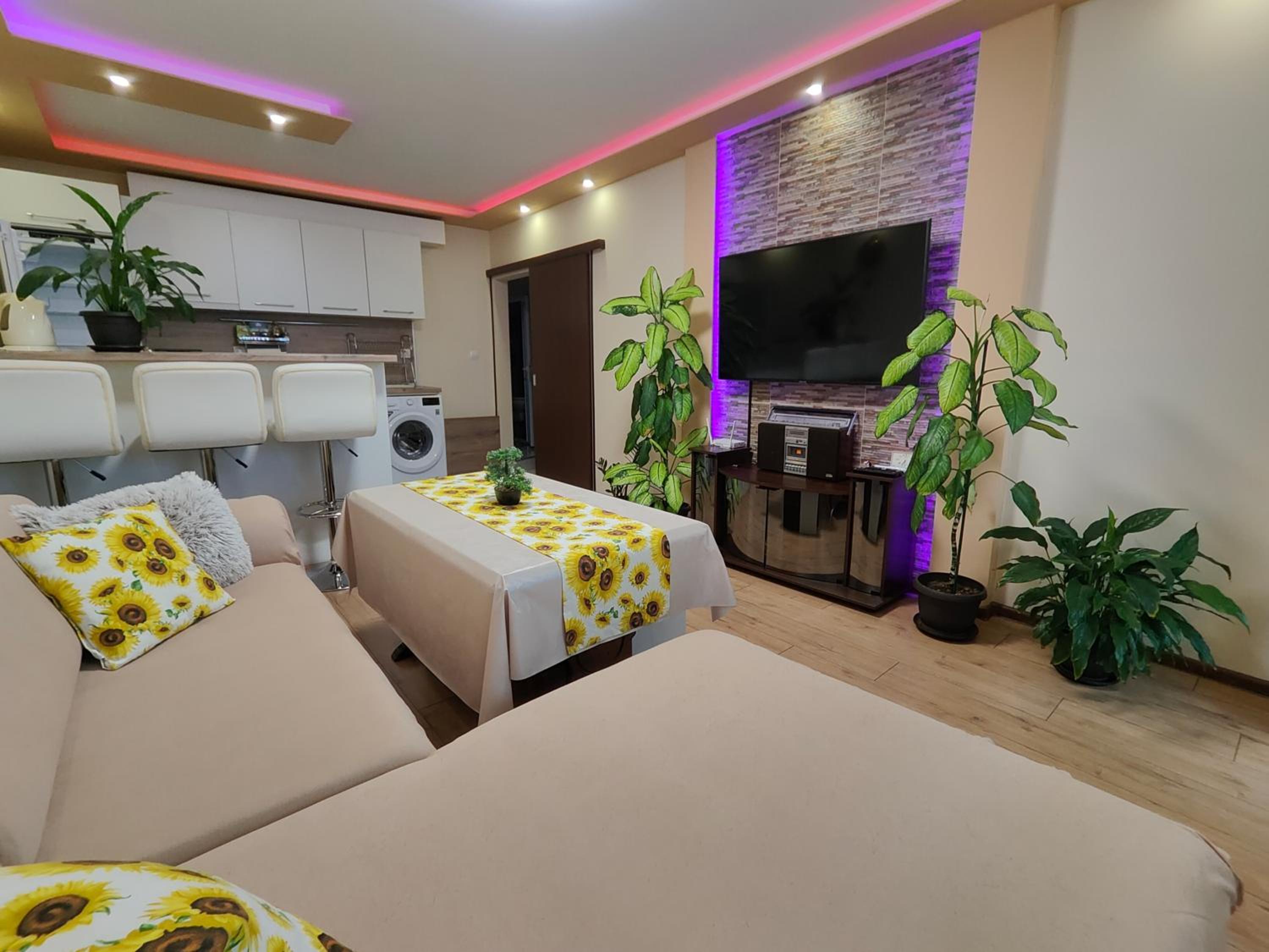 Newly renovated 2 bedroom apartment in Sofia