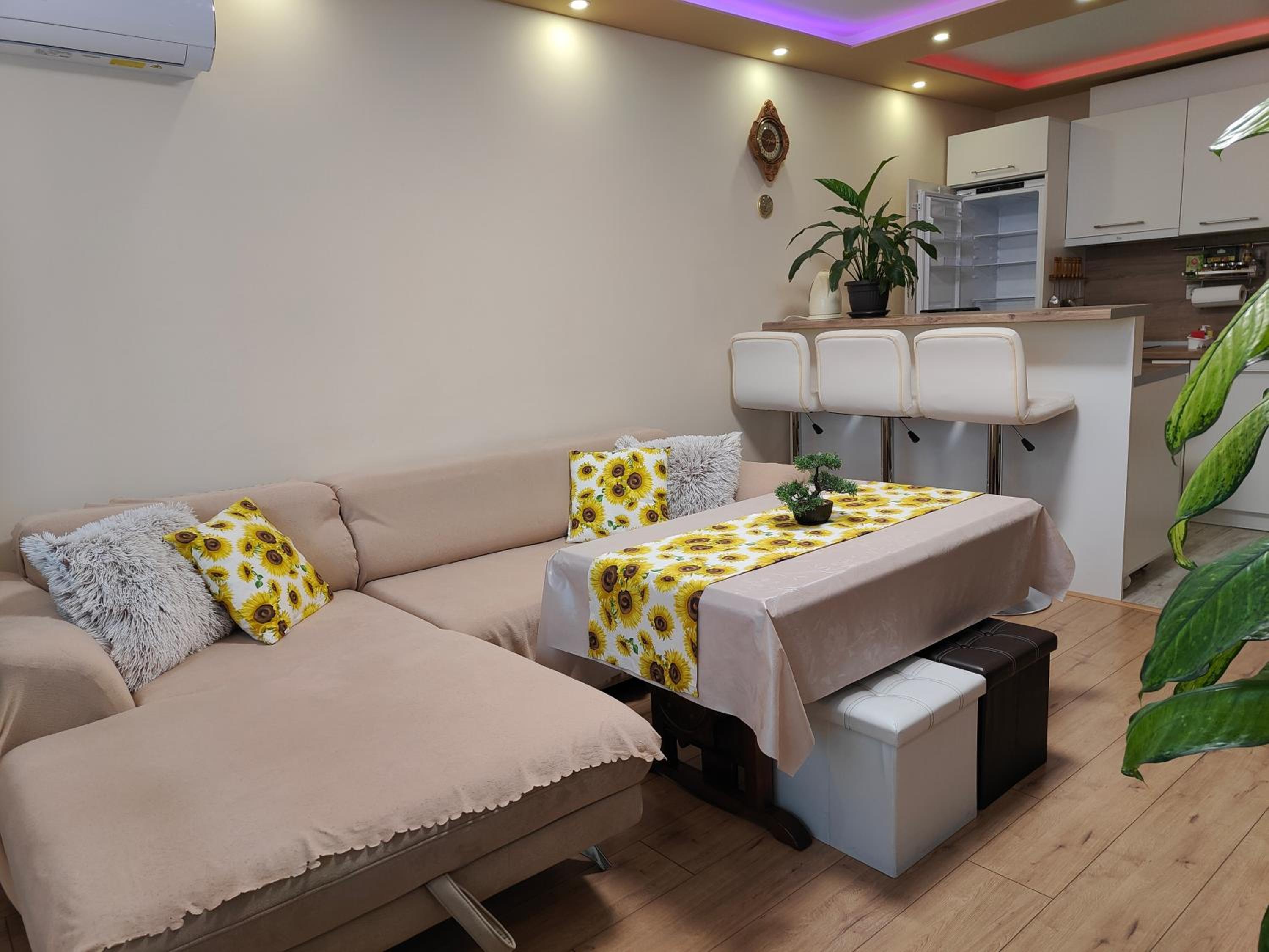 Newly renovated 2 bedroom apartment in Sofia