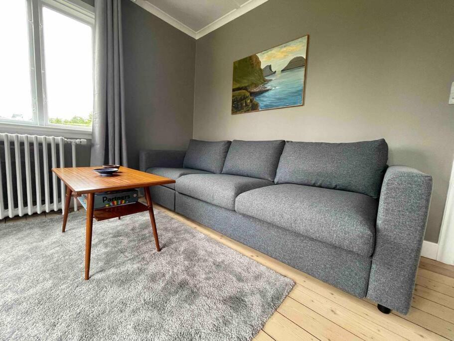 Cozy Apartment downtown Tórshavn
