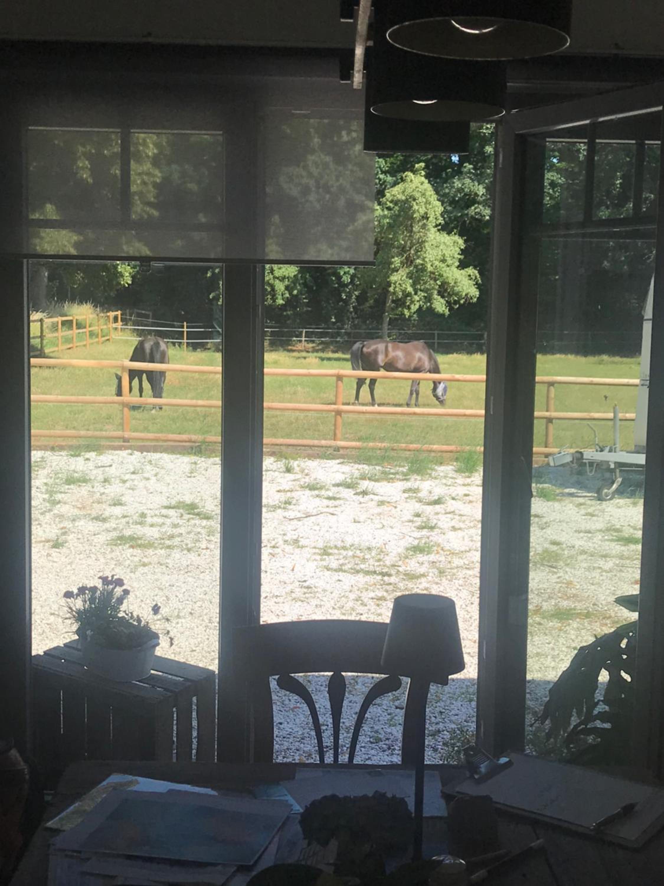Ks Kotten Bed and Breakfast