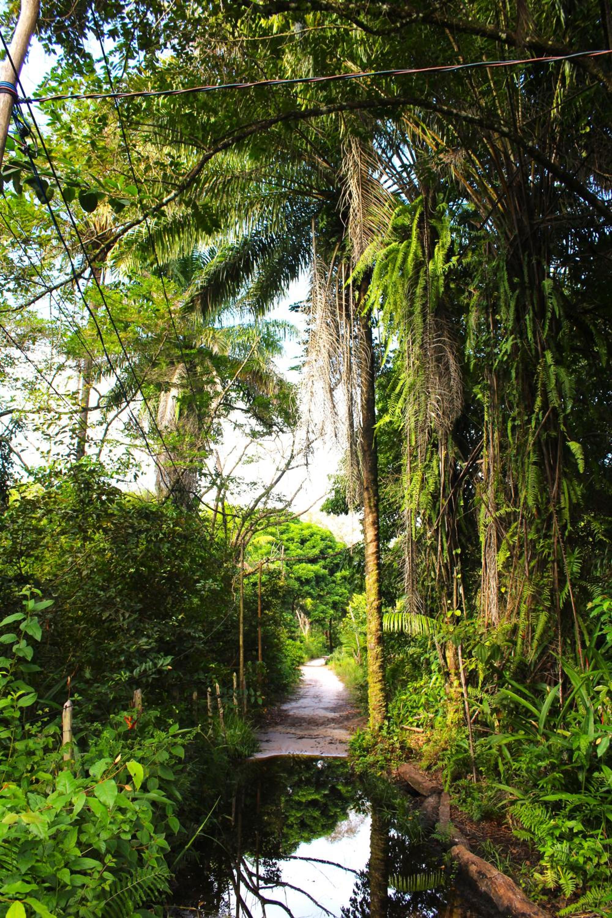 REFUGIO DO SAGRADO MORERE Tropical Lodge - A Casa do Vigía