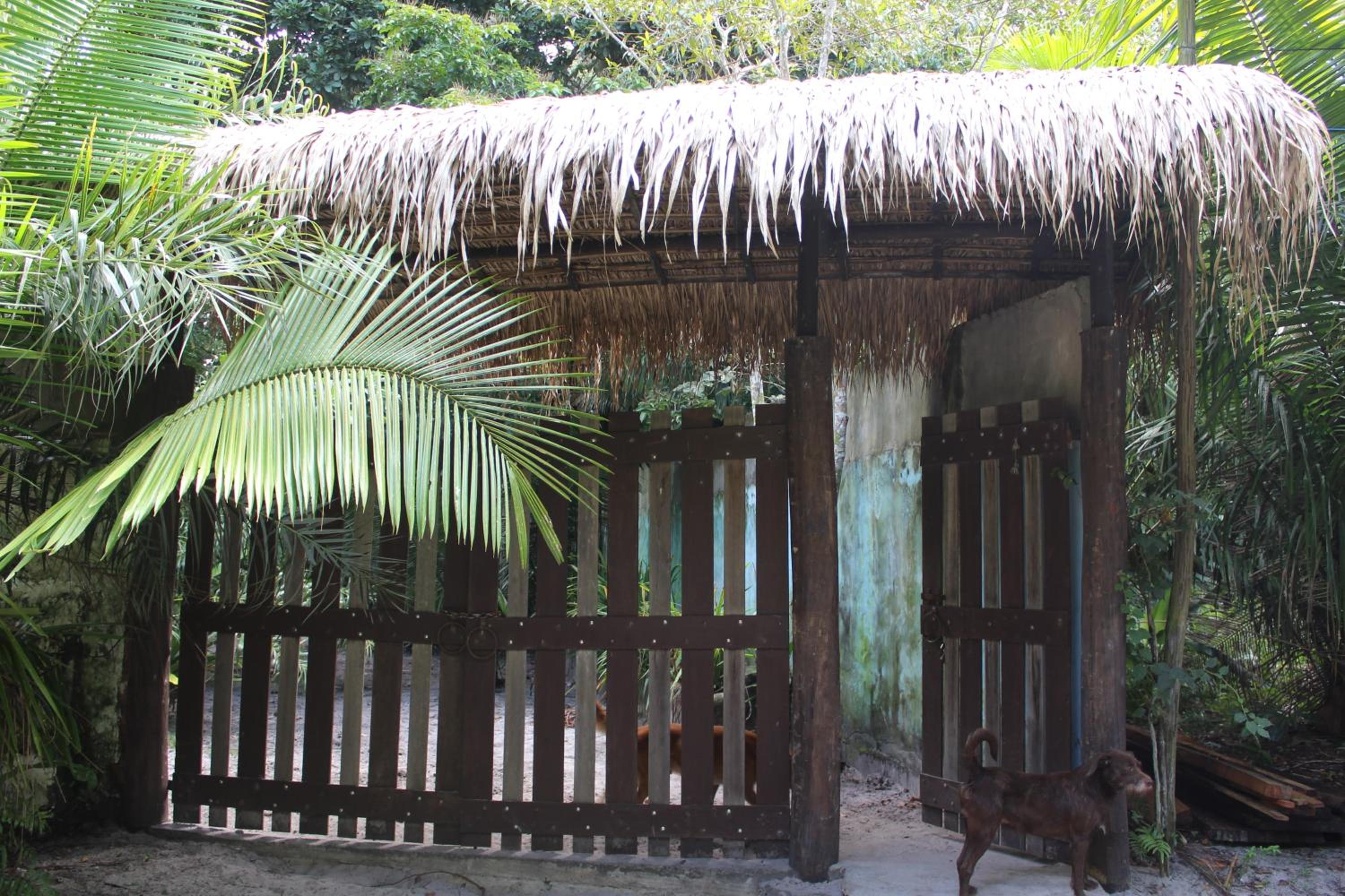 REFUGIO DO SAGRADO MORERE Tropical Lodge - A Casa do Vigía