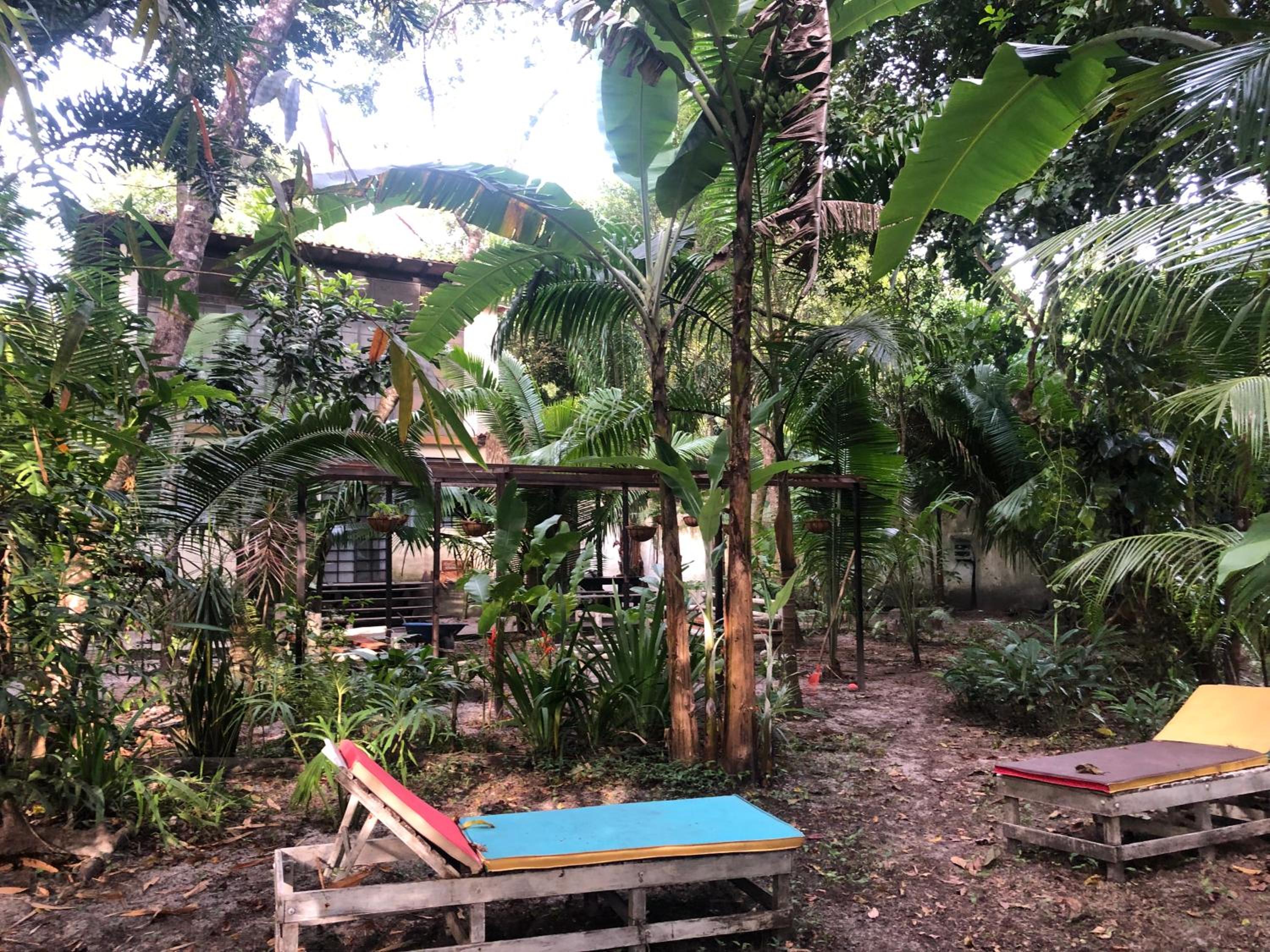 REFUGIO DO SAGRADO MORERE Tropical Lodge - A Casa do Vigía