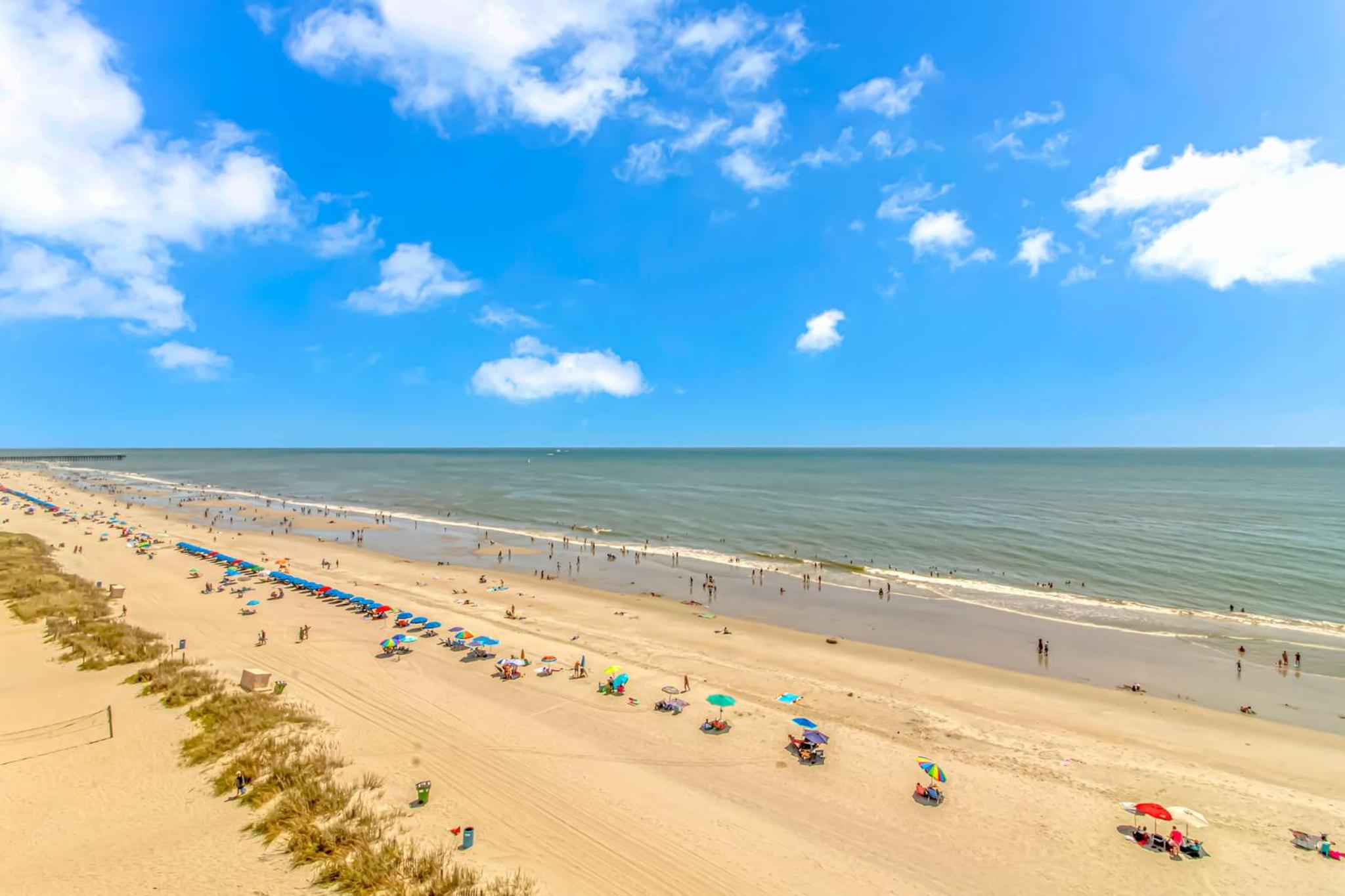 Beautifully Updated Ocean View Studio! Sea Mist 50503 view 5