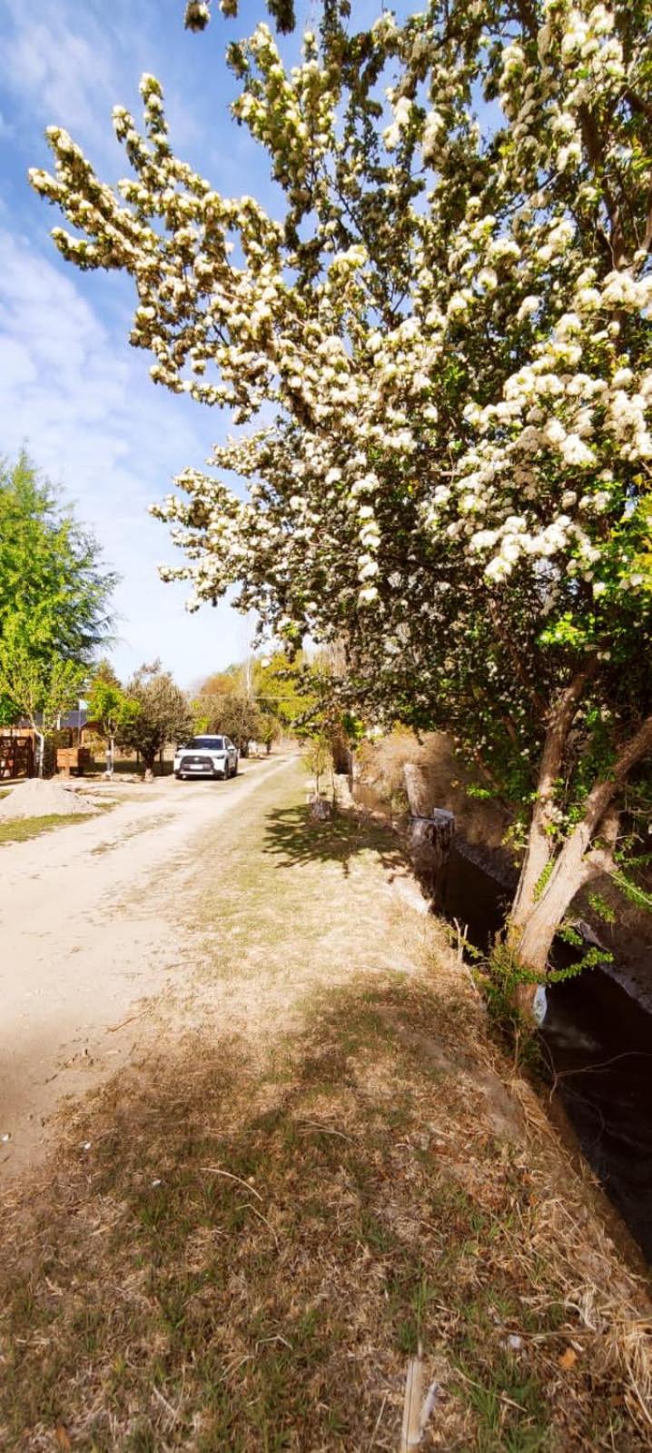 Cabañas Roble Malbec