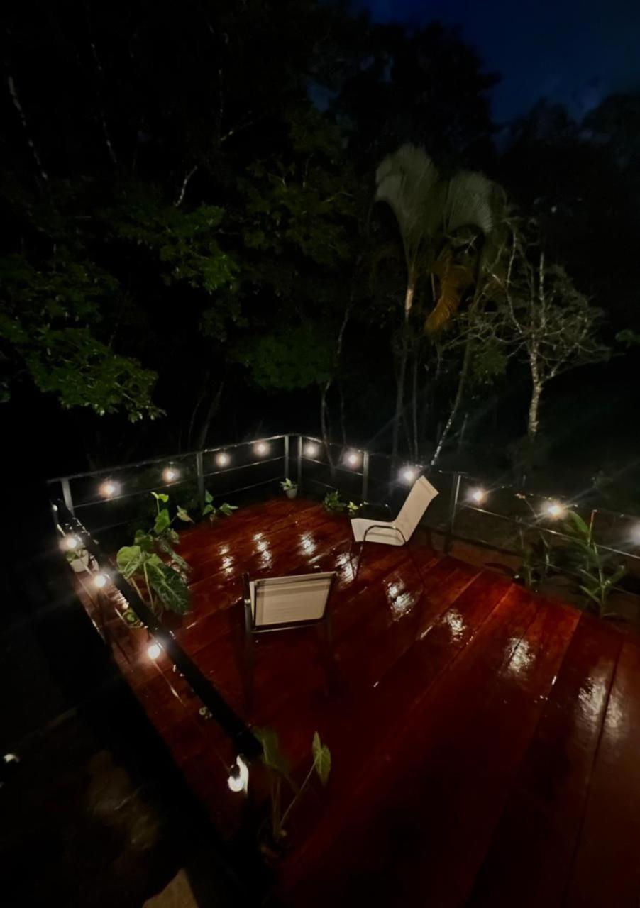 Ficus house