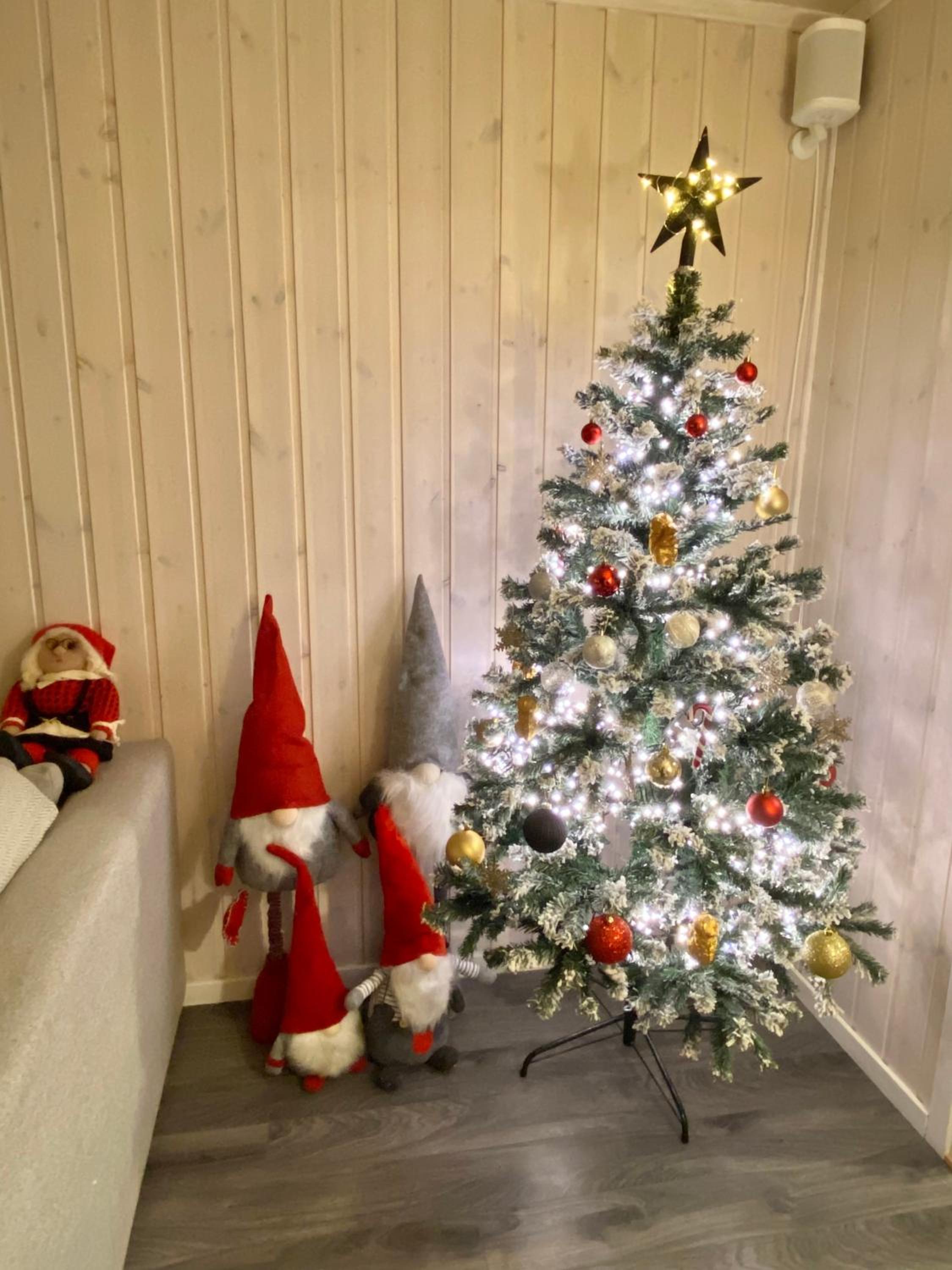 Photo 20