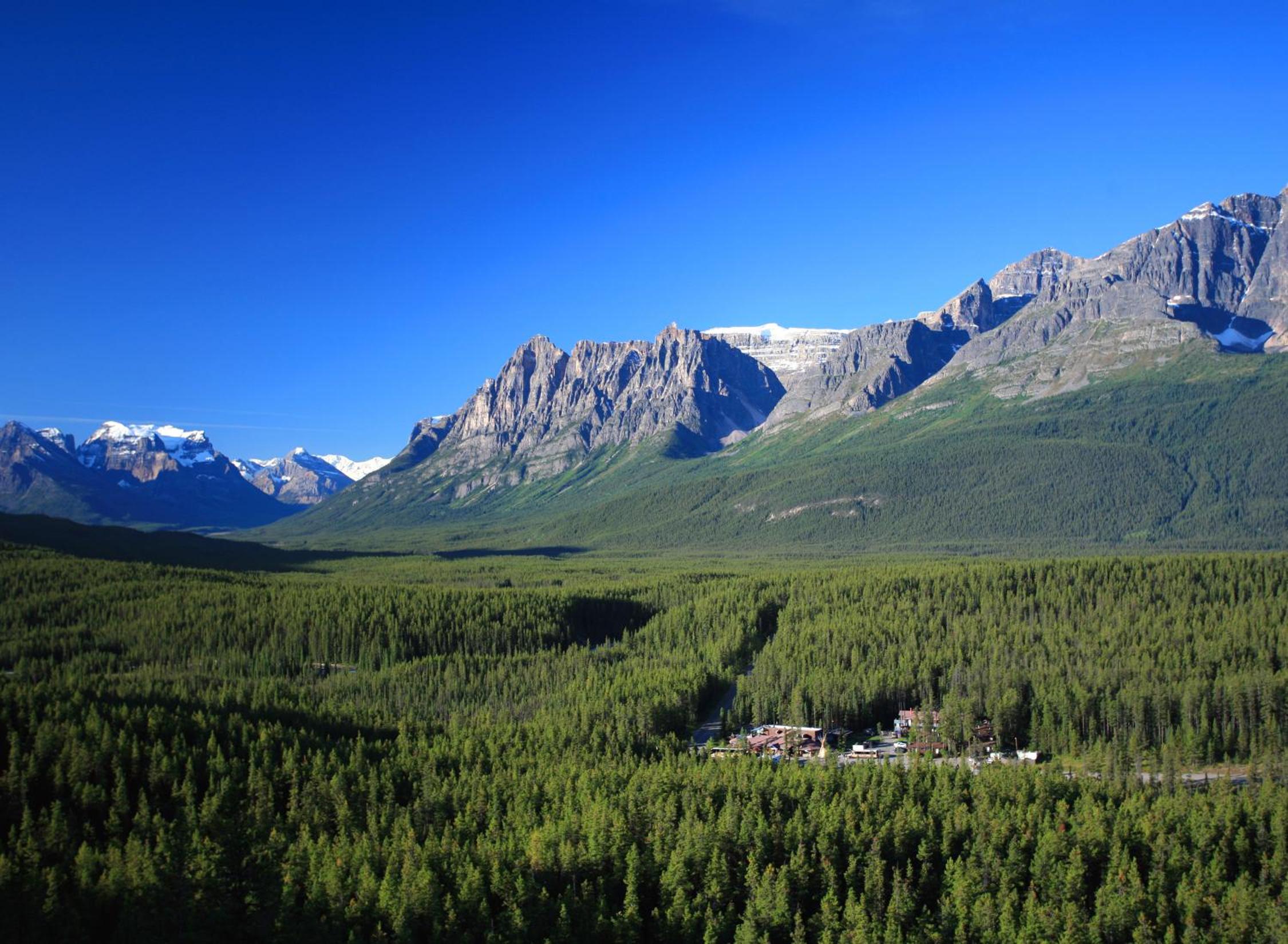 Sunwapta Falls Rocky Mountain Lodge