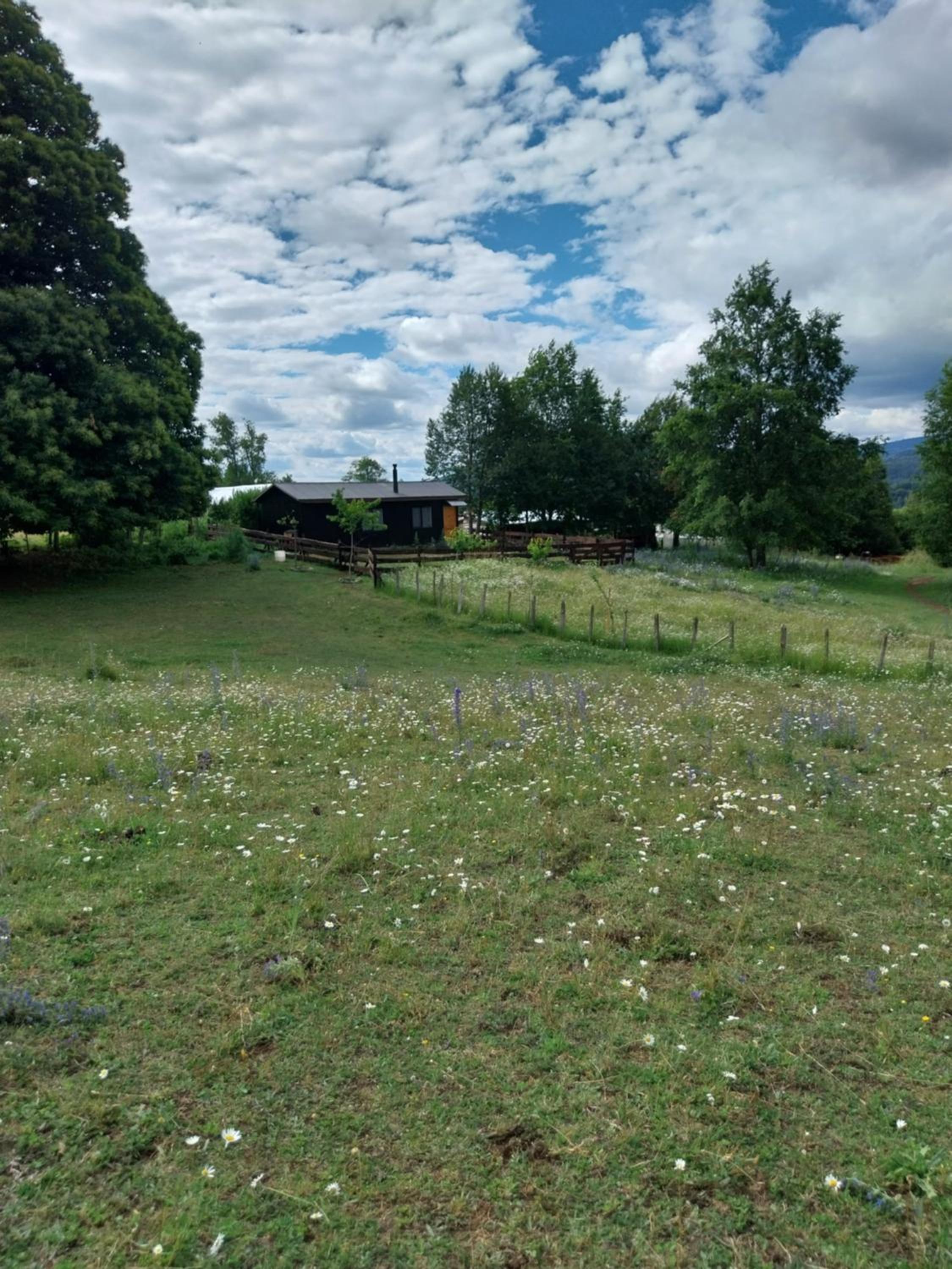 Eco Cabaña LA MARIPOSA