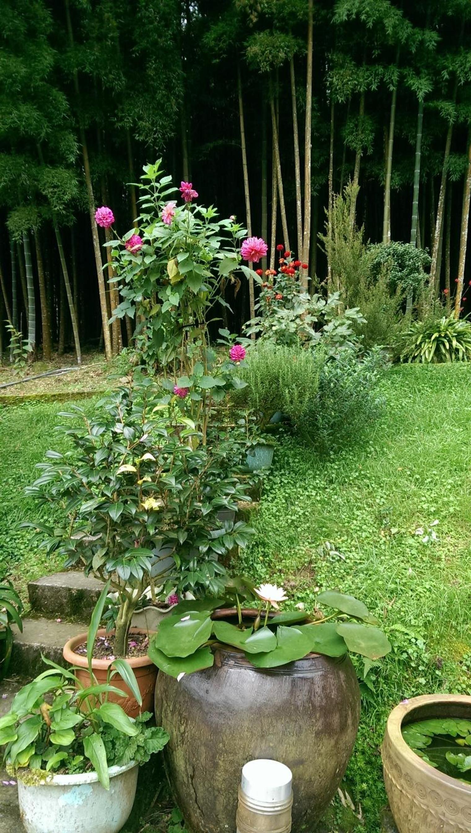 Photo 25
