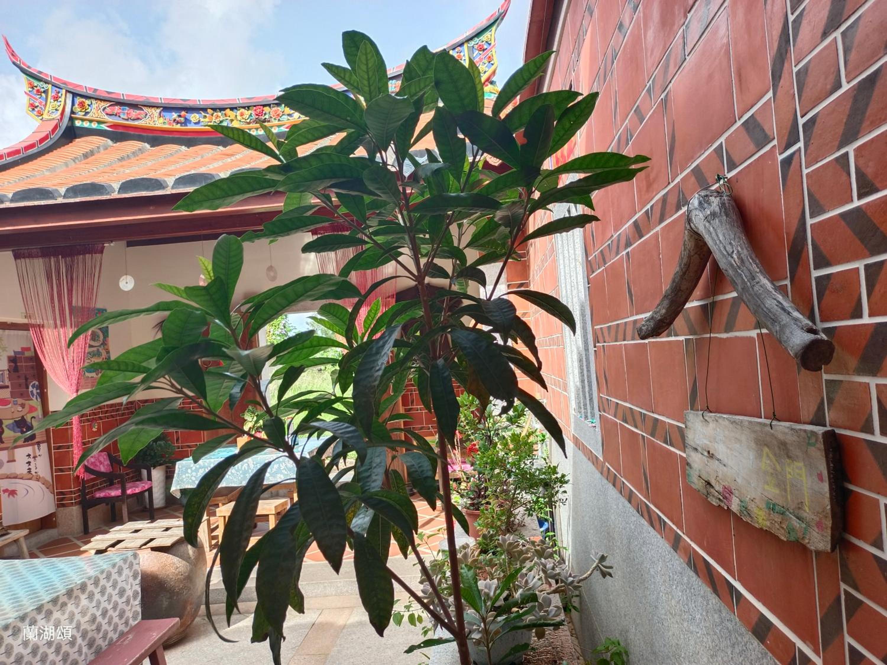 Photo 18
