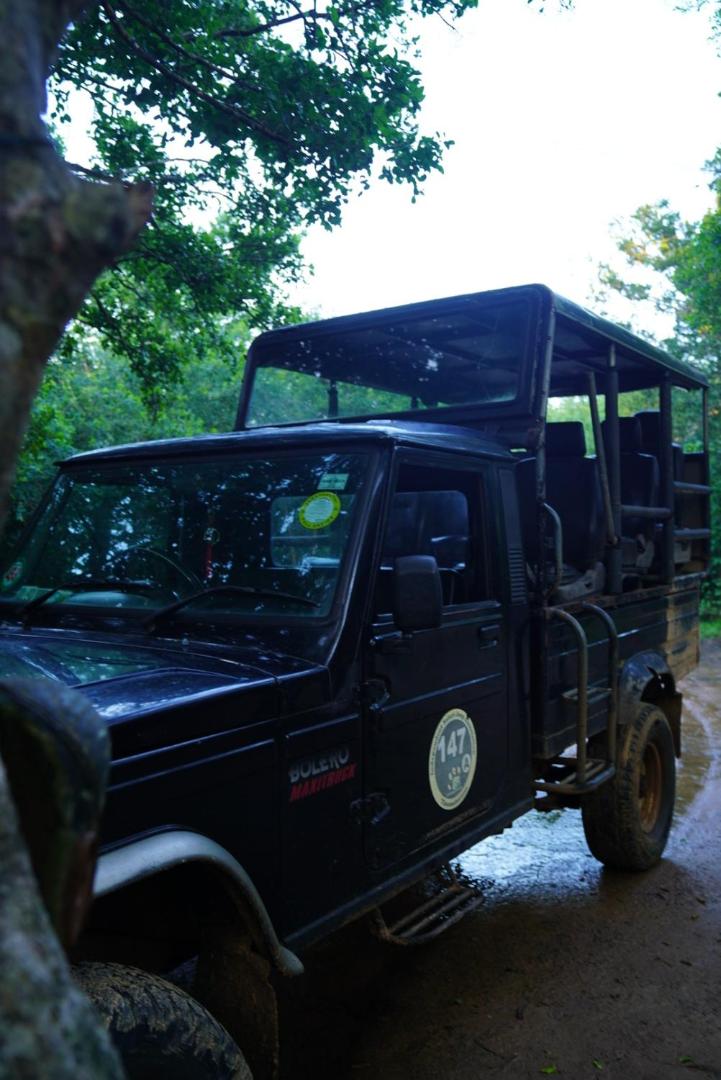 Yala Wild House view 5