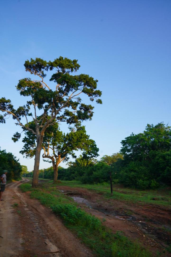 Yala Wild House view 2