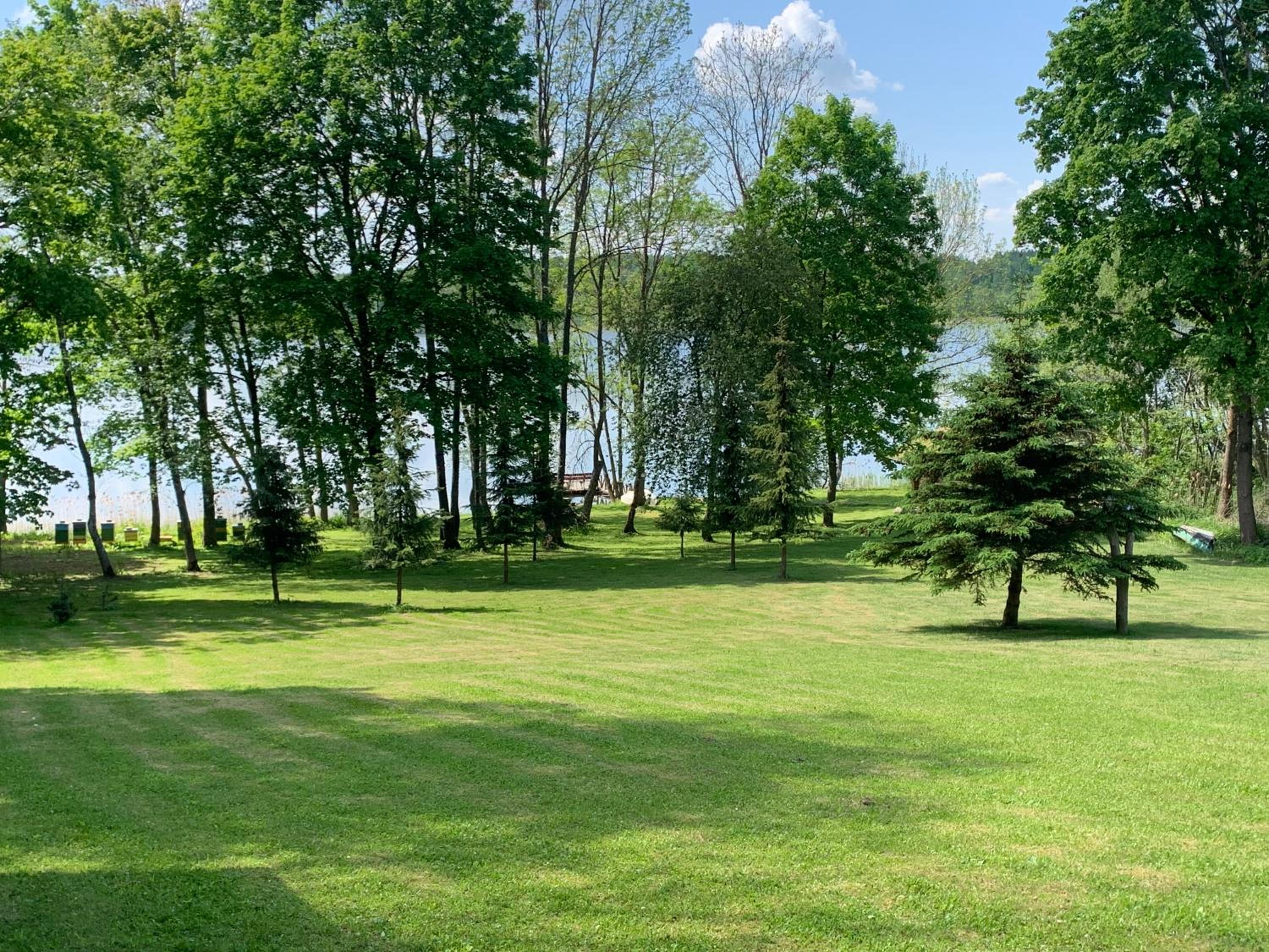 Poilsis ant Virintų ežero kranto view 2
