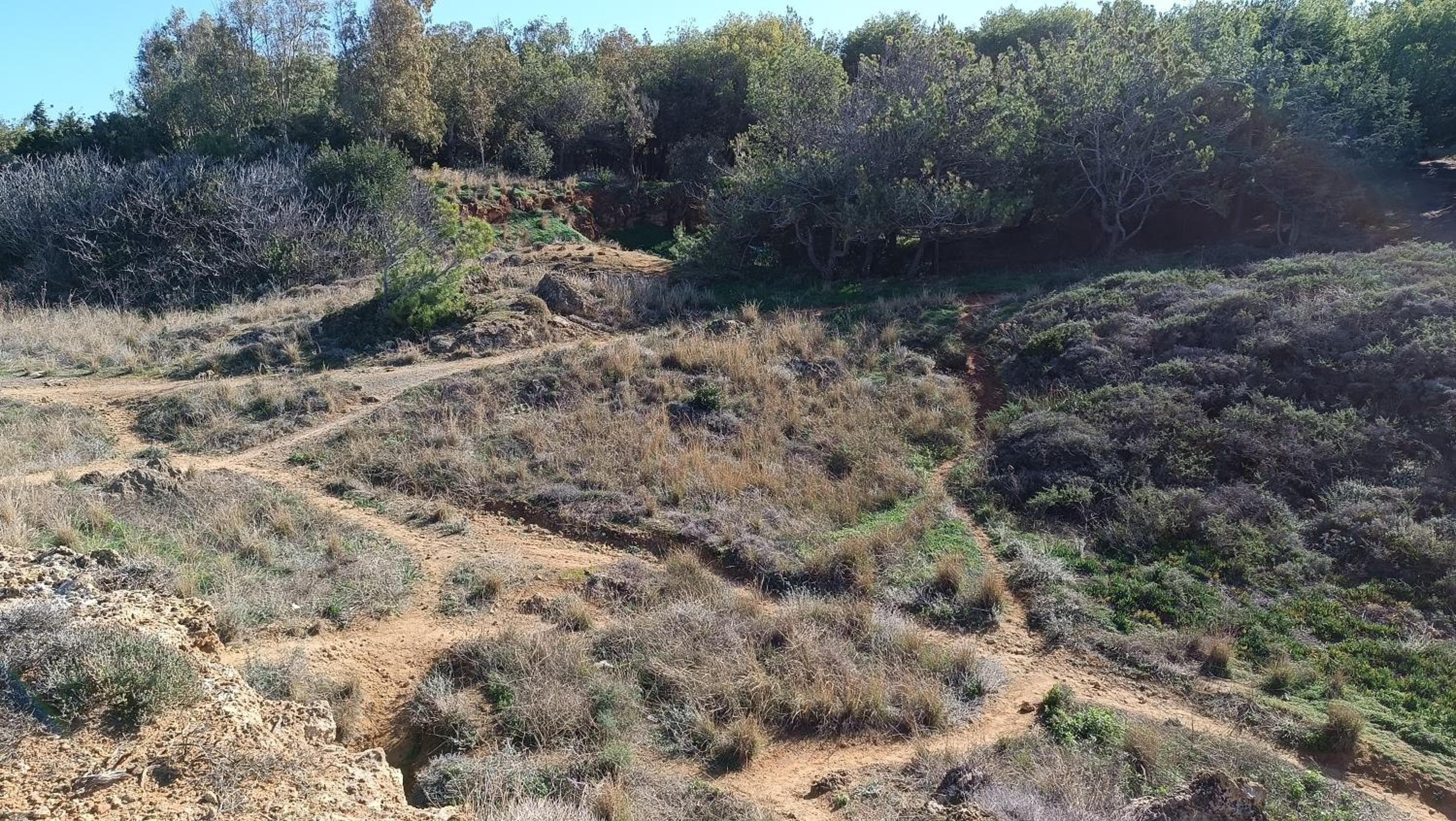 Photo 25