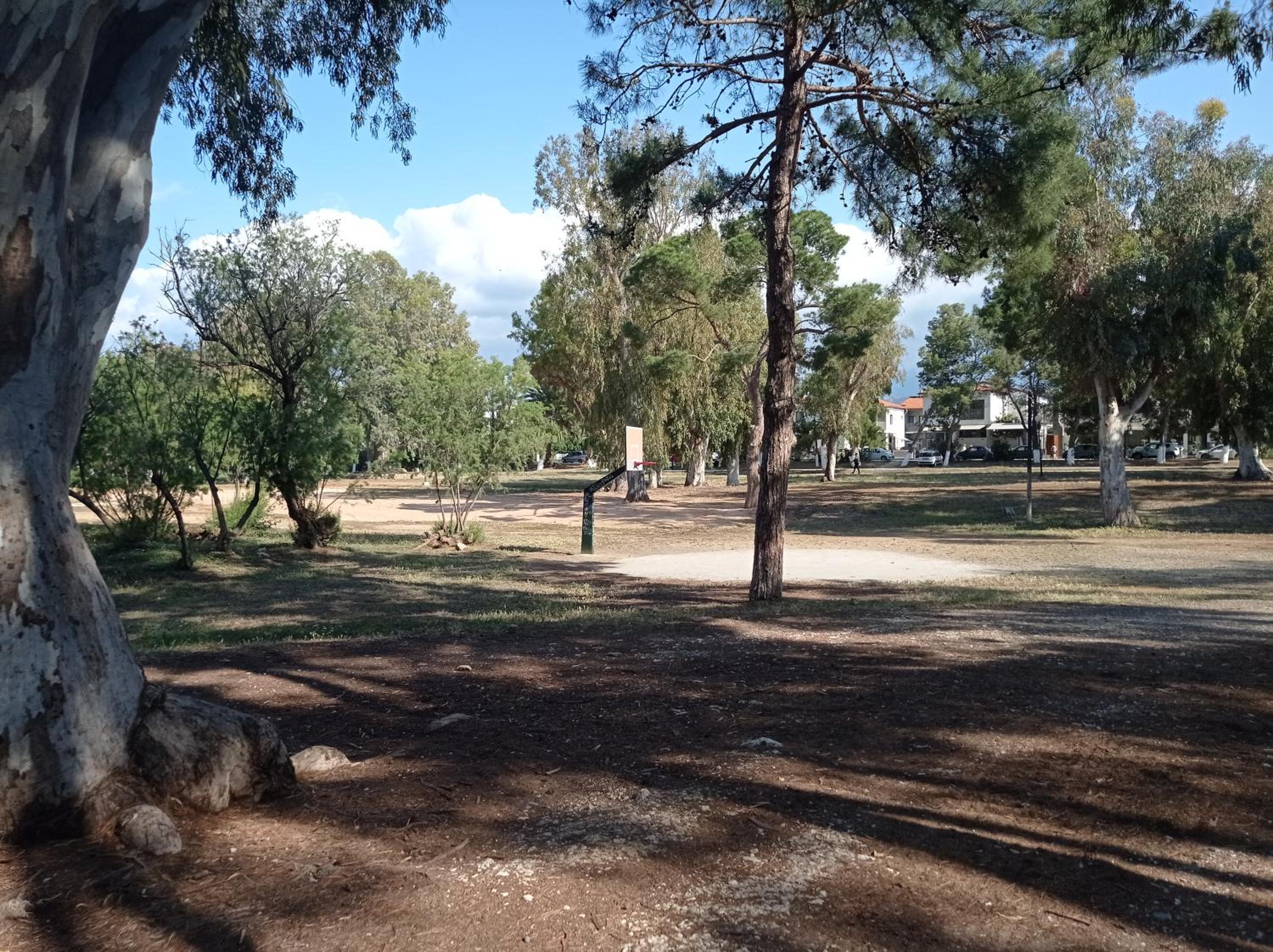 Photo 31