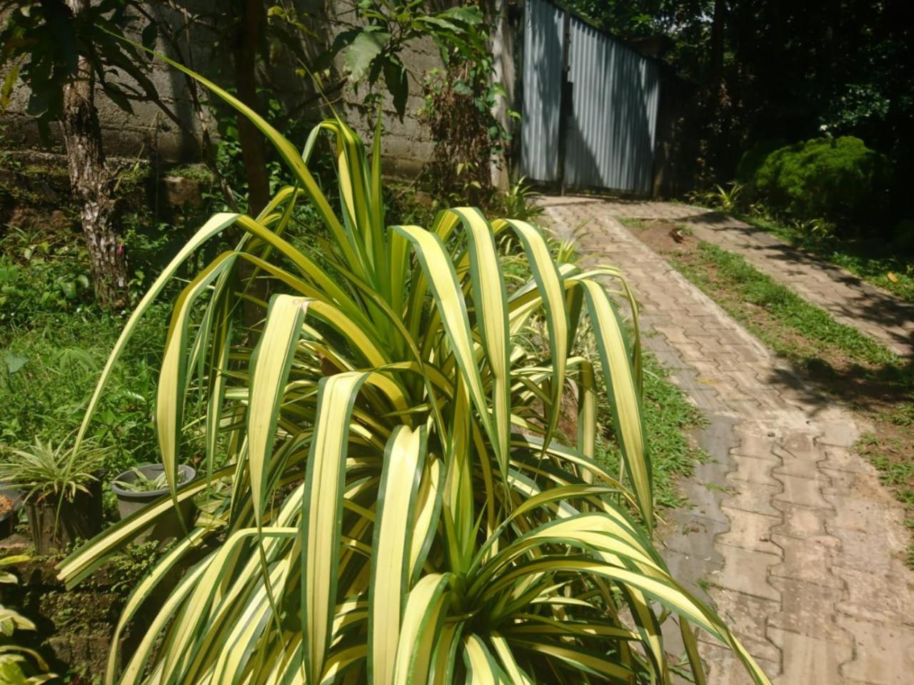 Villa Manu Hikkaduwa