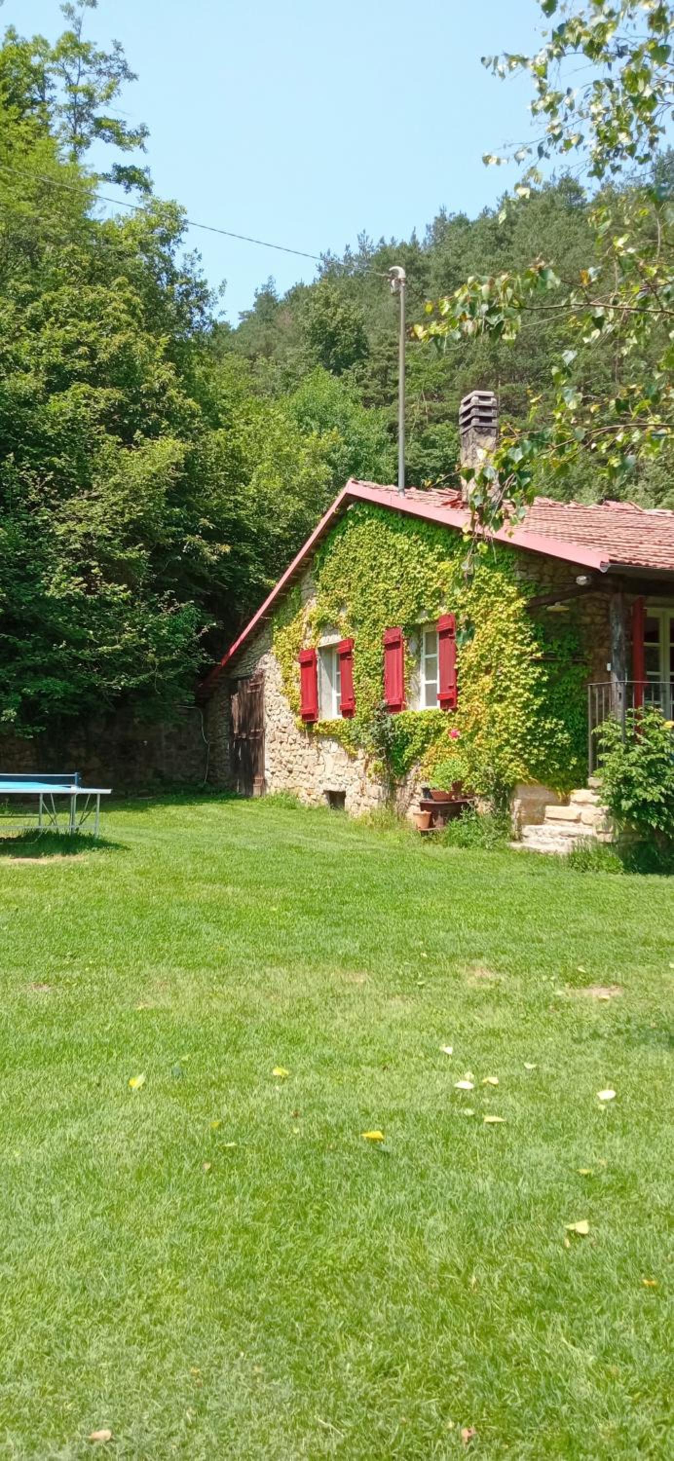 Photo 47