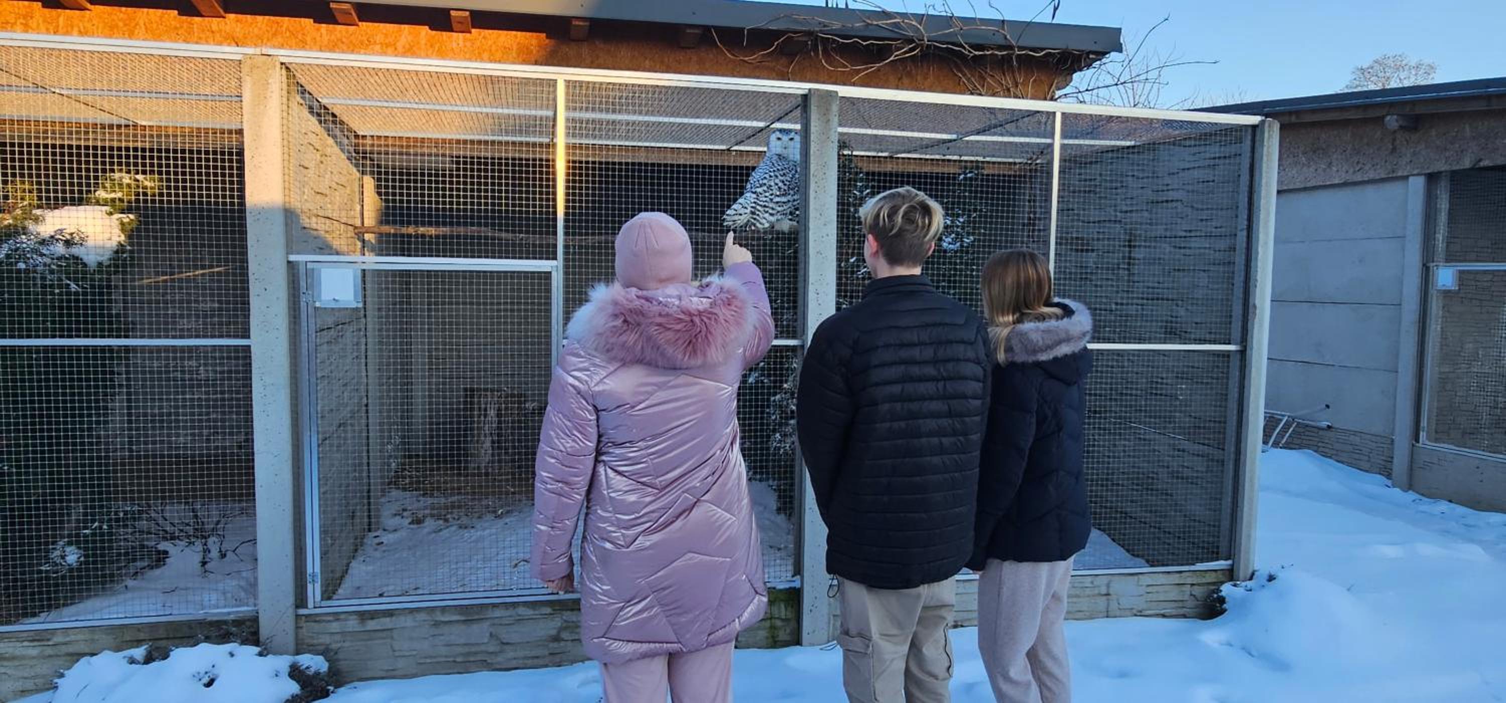 Apartmán v centru Království sov