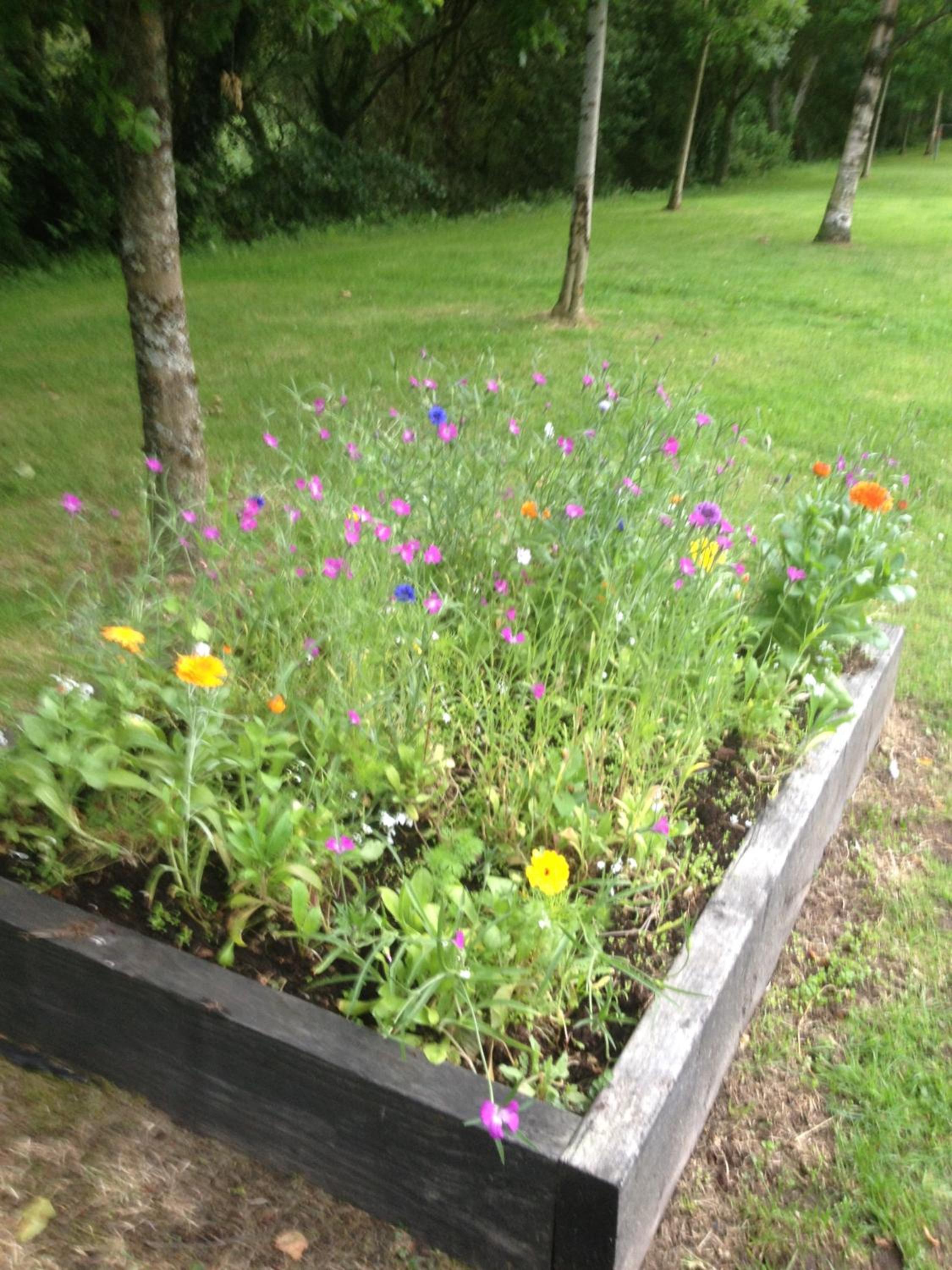 Photo 28