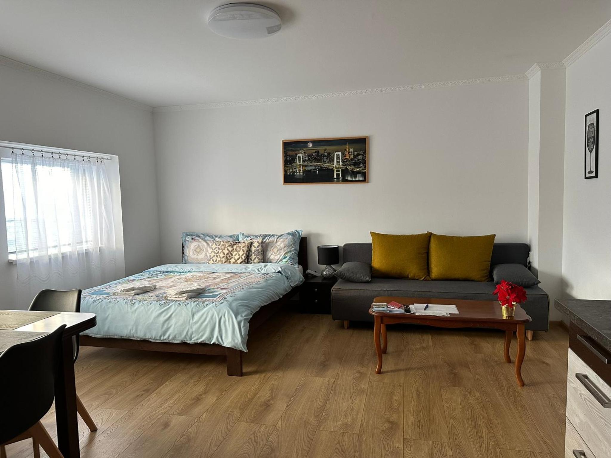 Apartmán v Krušných horách-free parking