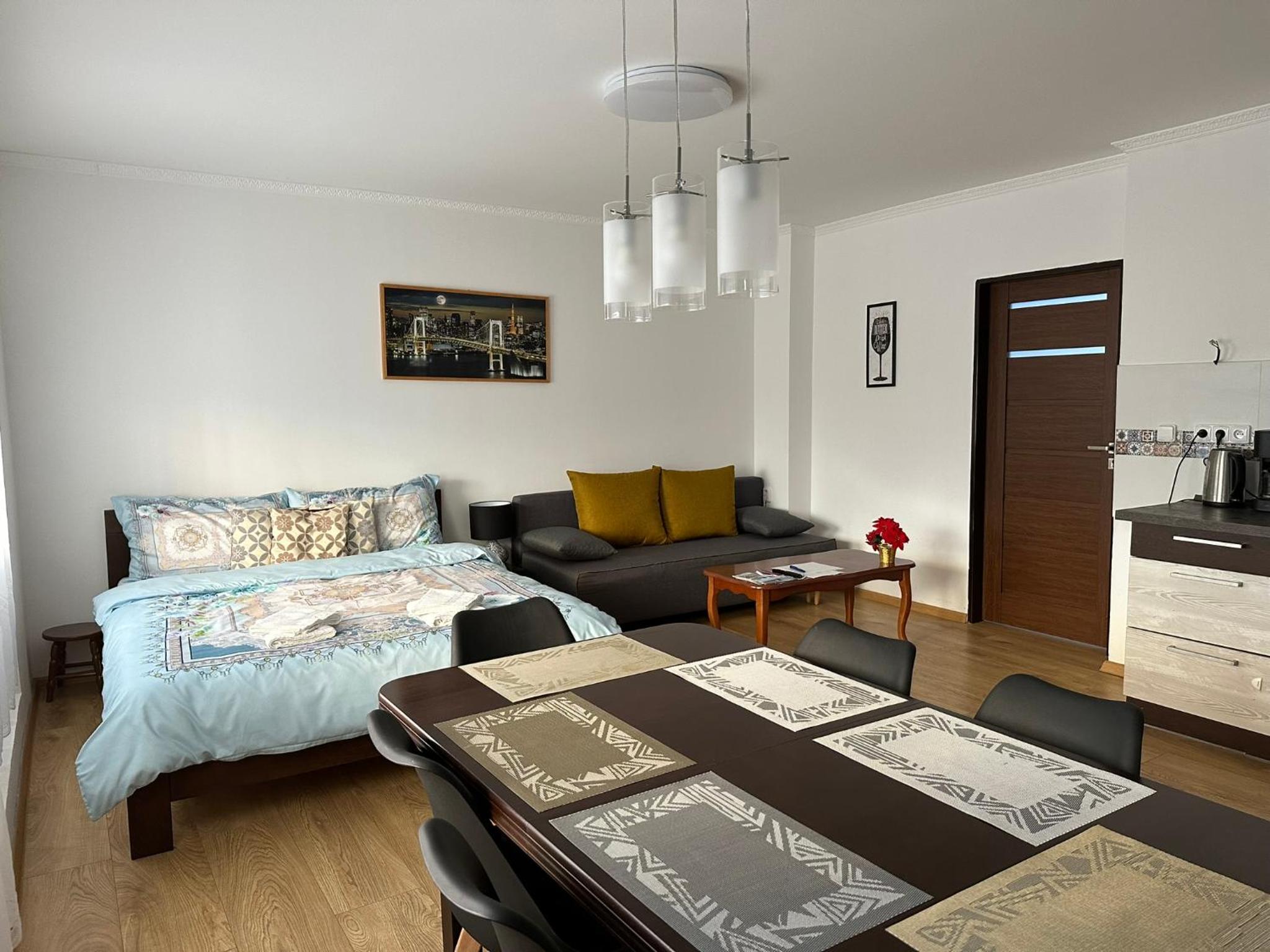 Apartmán v Krušných horách-free parking