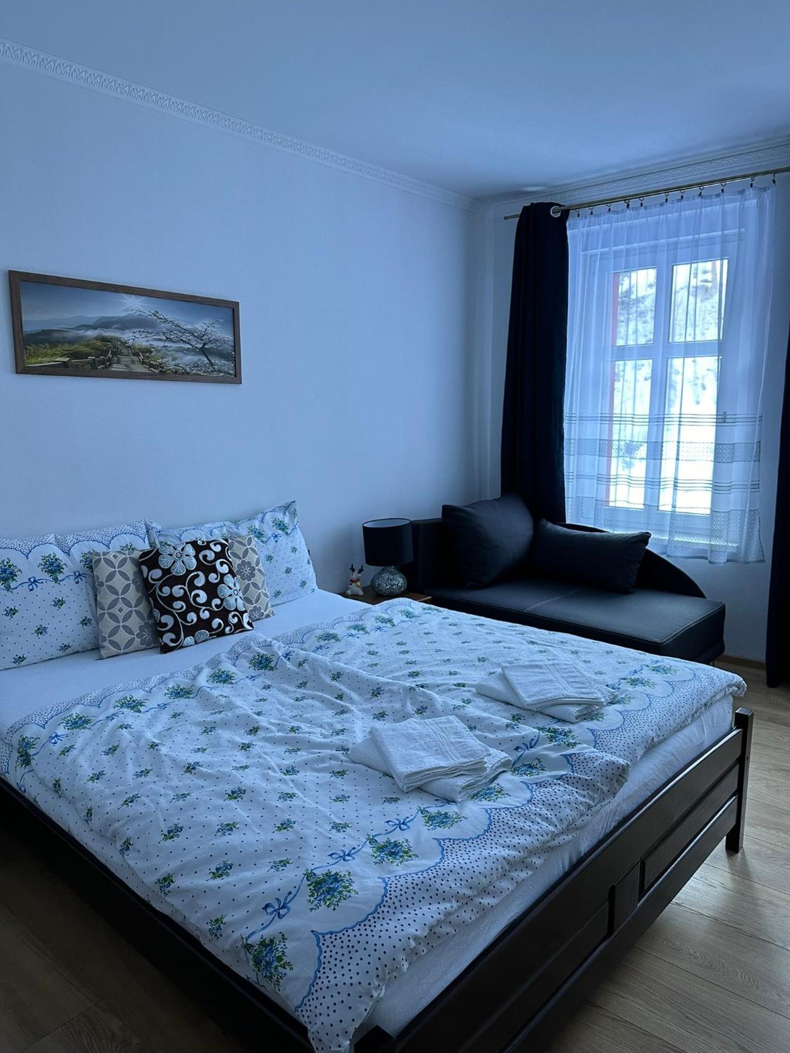 Apartmán v Krušných horách-free parking