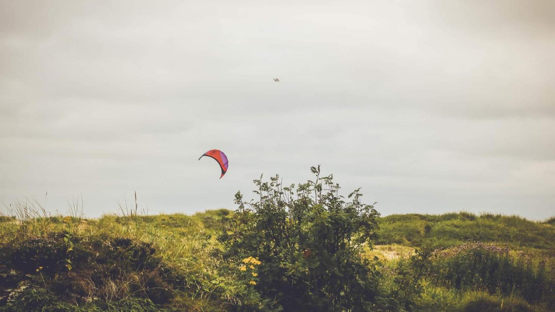 Photo 40