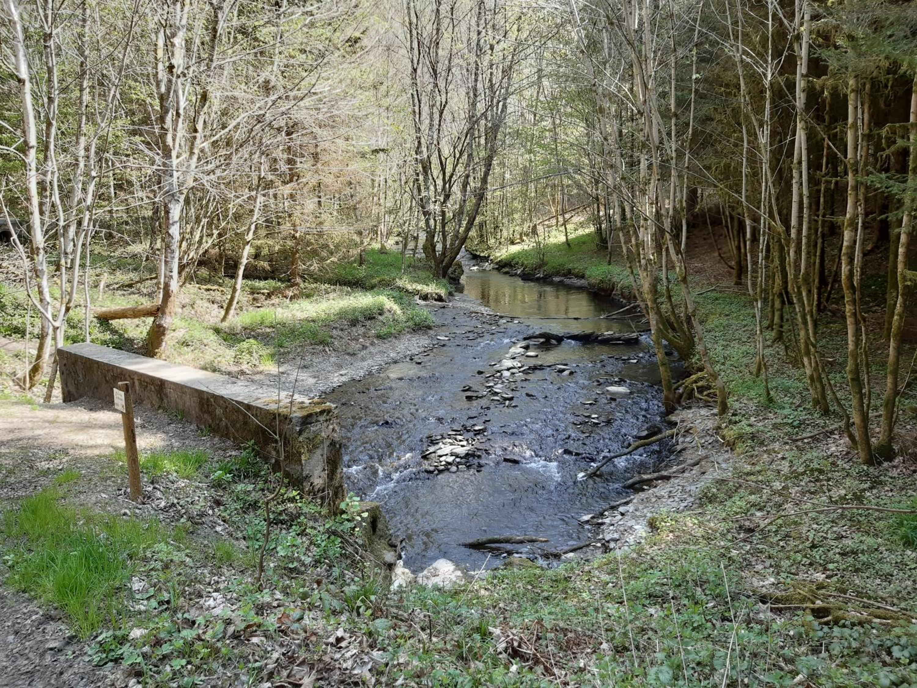 B&B Le bruissement