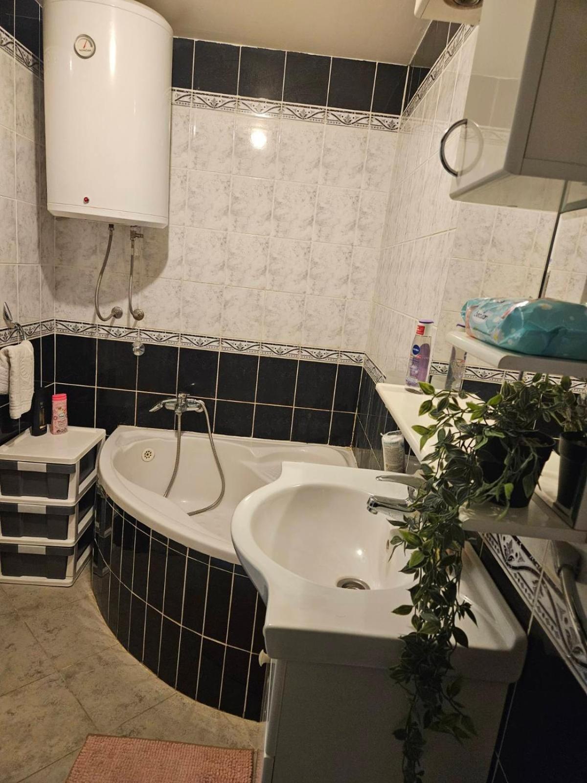 Luxury Apartment