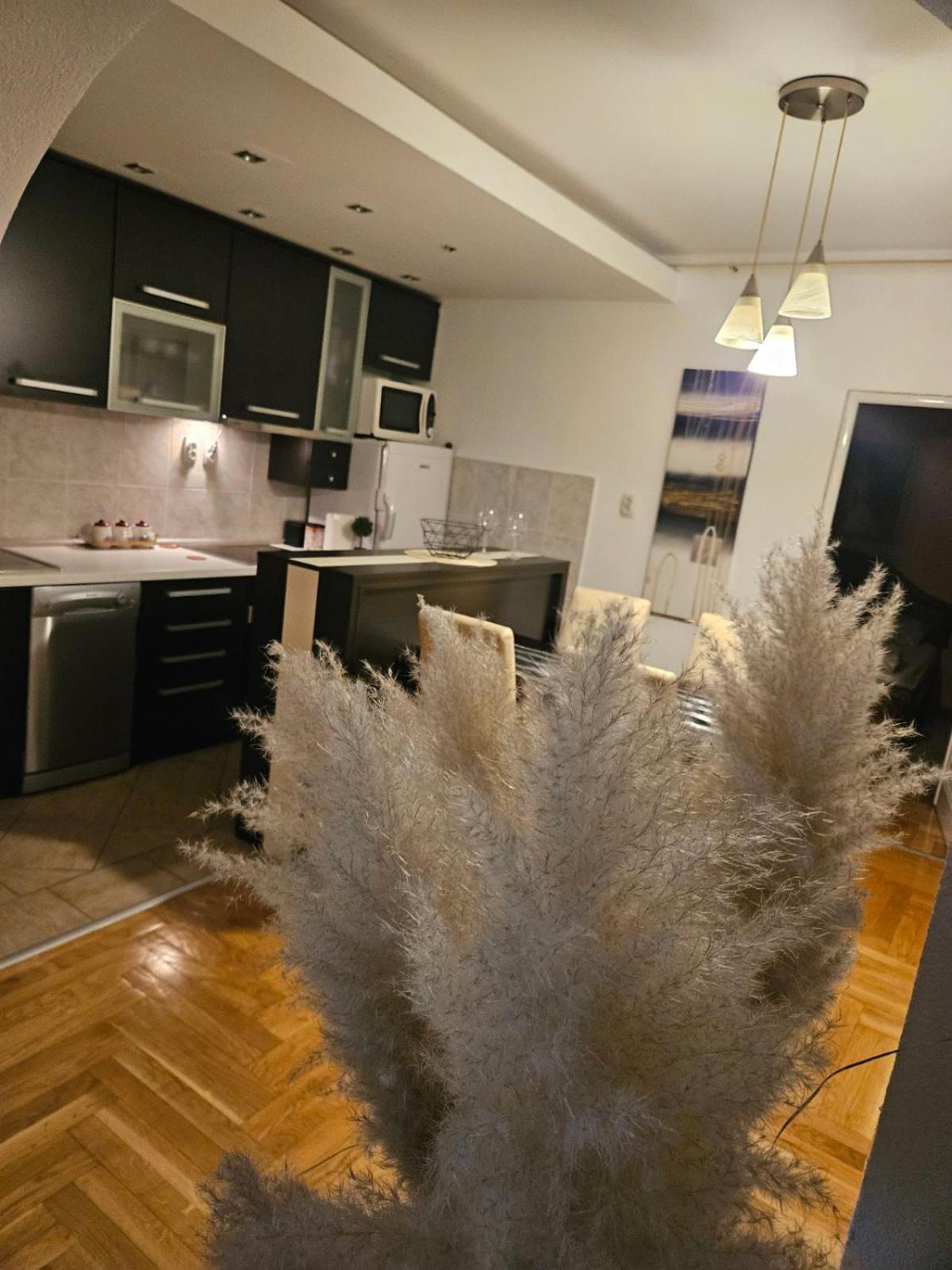 Luxury Apartment