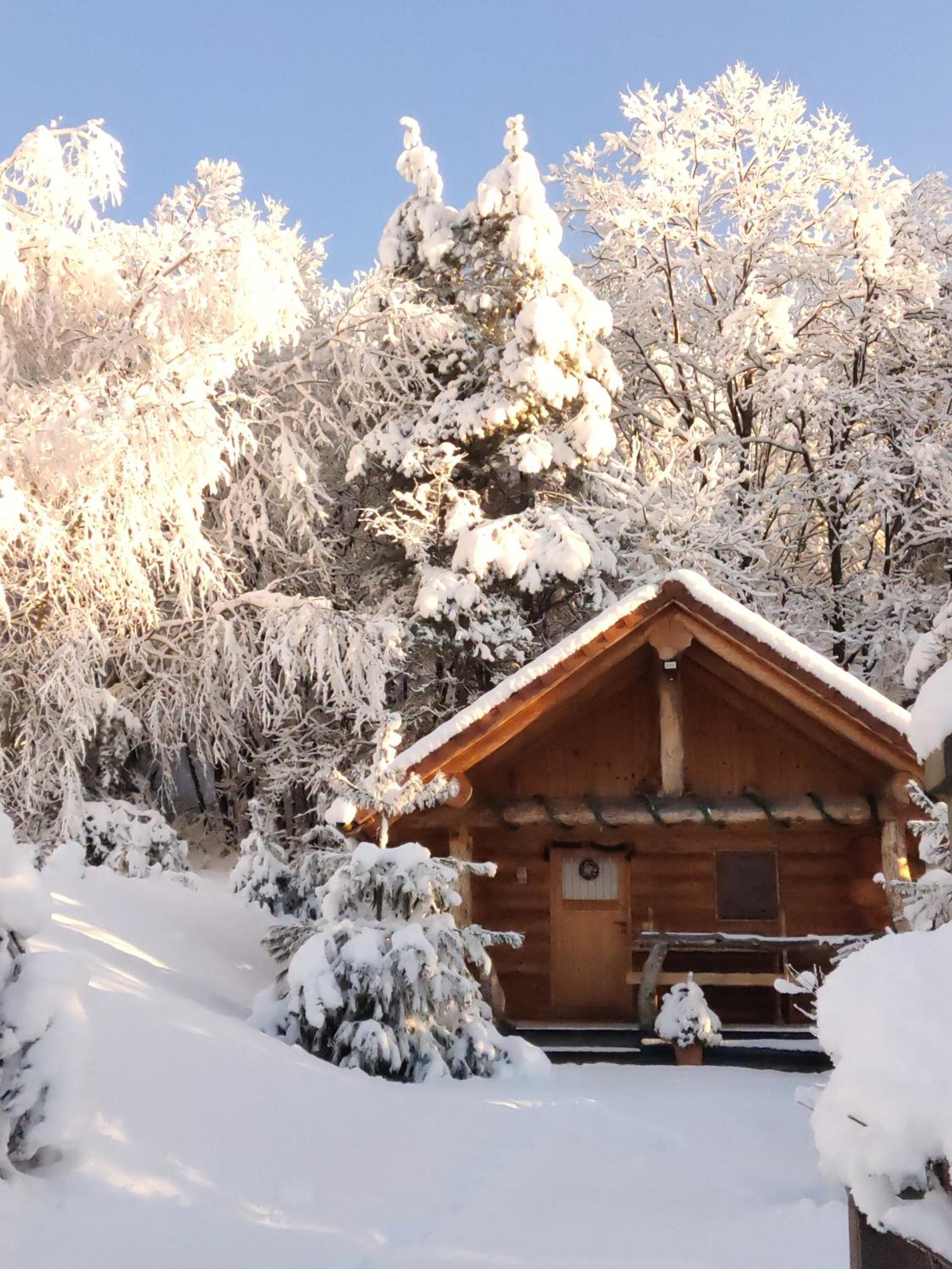 Hut at the forest, 1,5 hour from Bled view 4