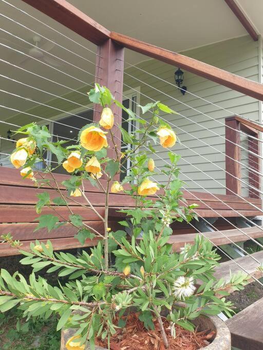 Kenilworth Belli Creek Homestead Retreat