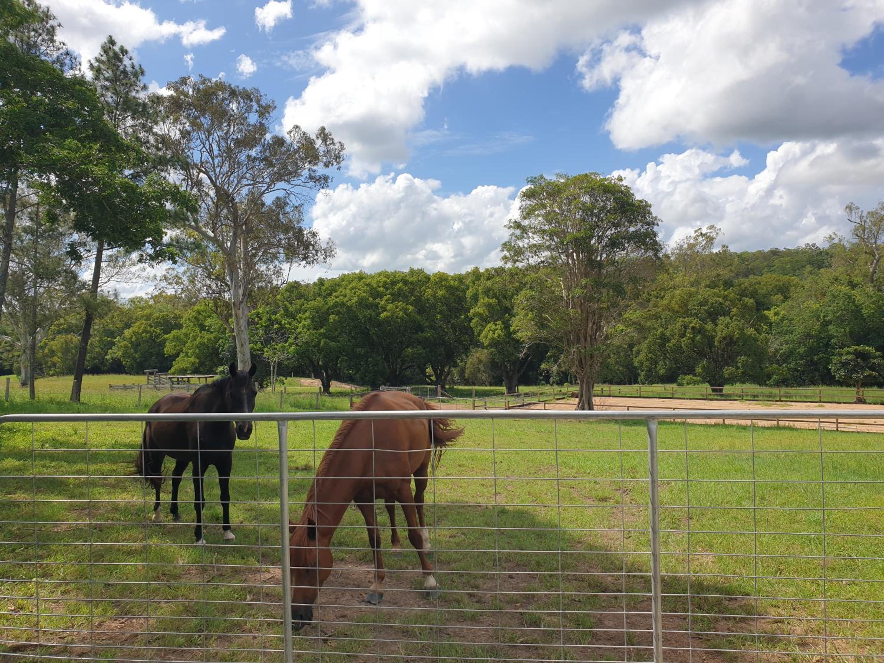 Kenilworth Belli Creek Homestead Retreat