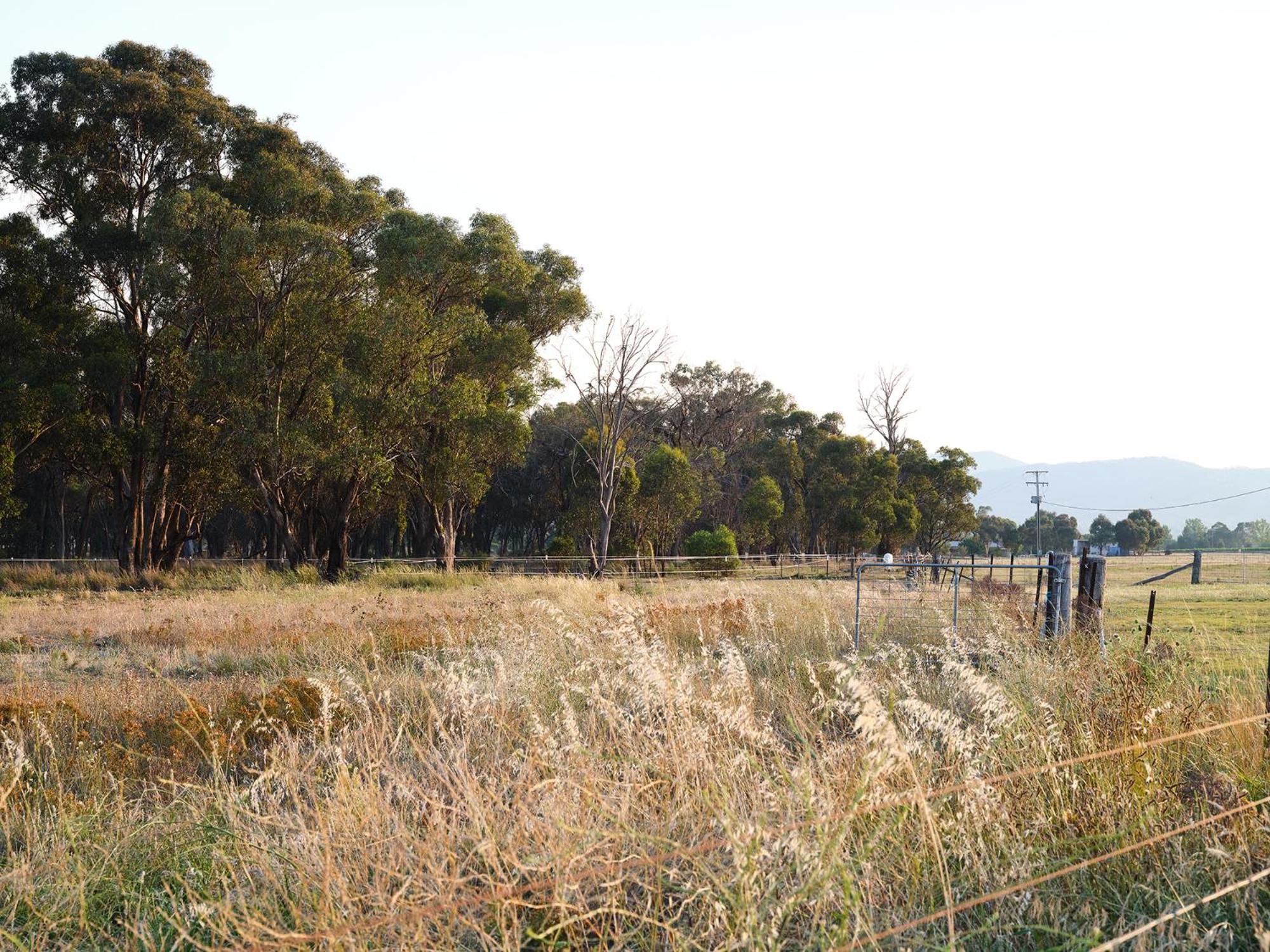 Shawwood Cottage