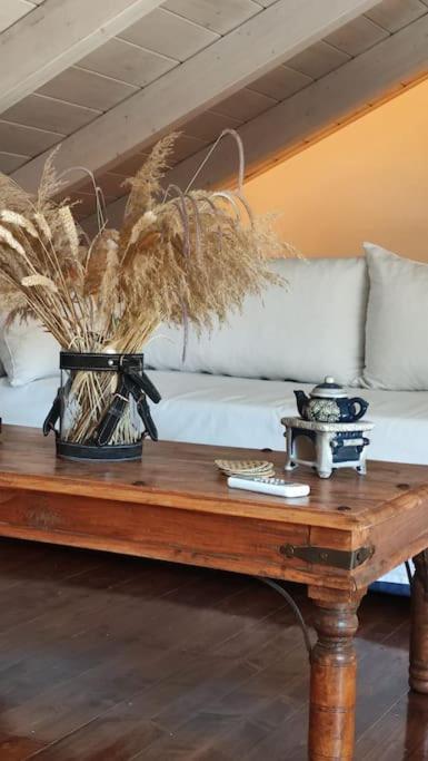 Selene Seaside Apartment