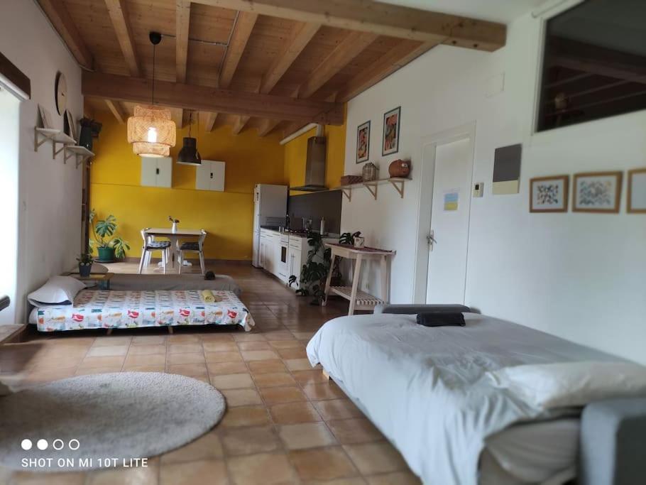 Apartamento rural con entrada independiente