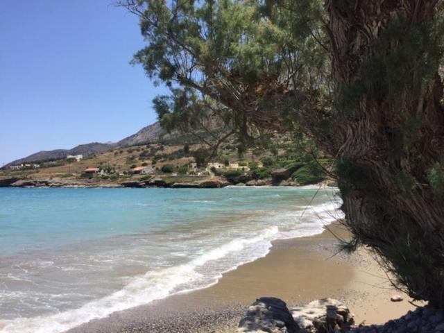 Kavousi Cottages - H Petra