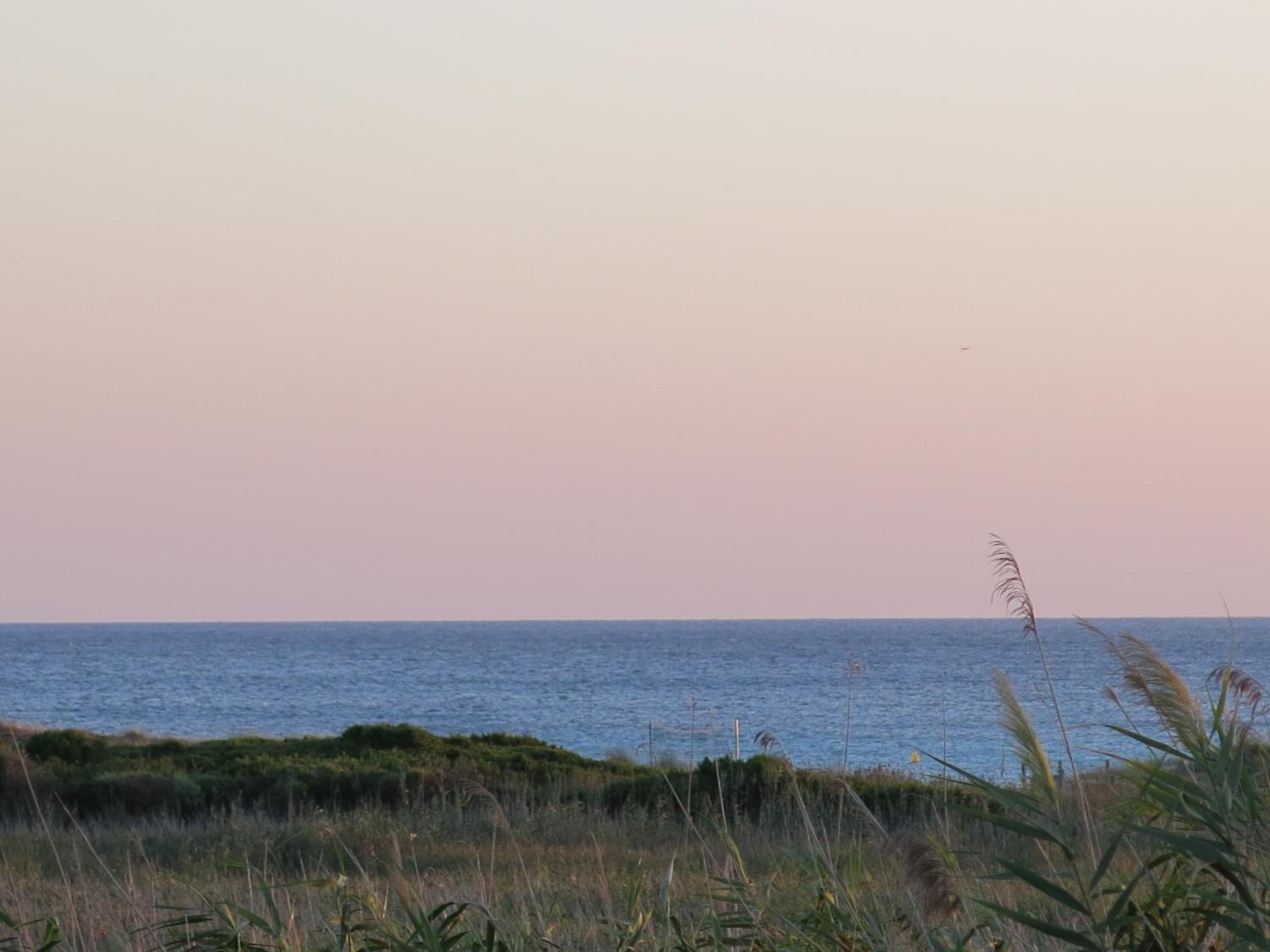 LUCKY Grazioso appartamento vista mare