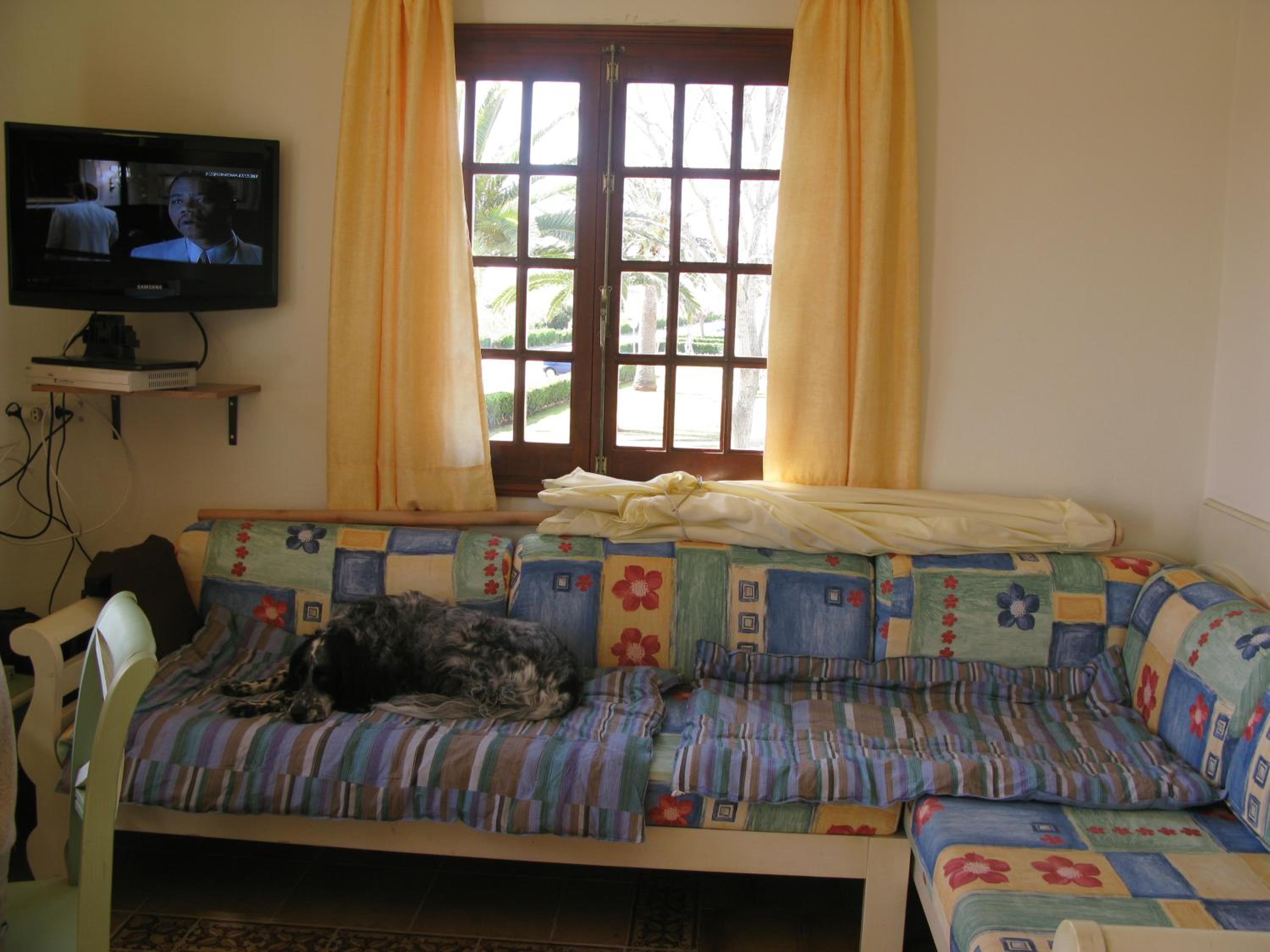 LUCKY Grazioso appartamento vista mare