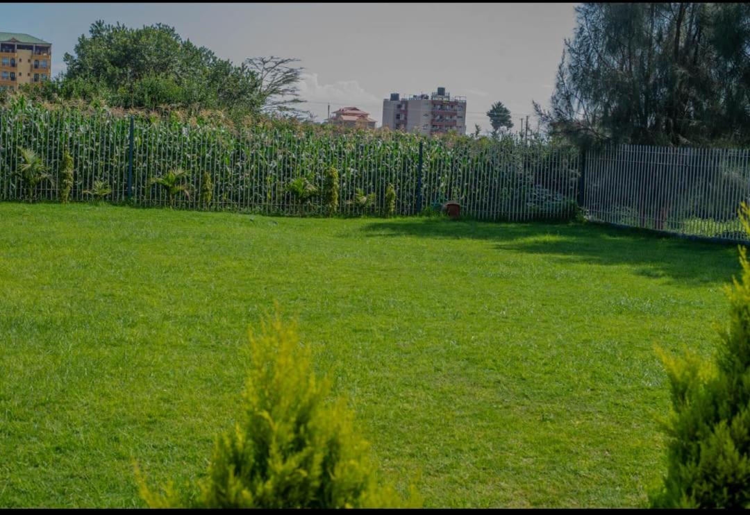 1 bedroom apartment in nanyuki -california plaza