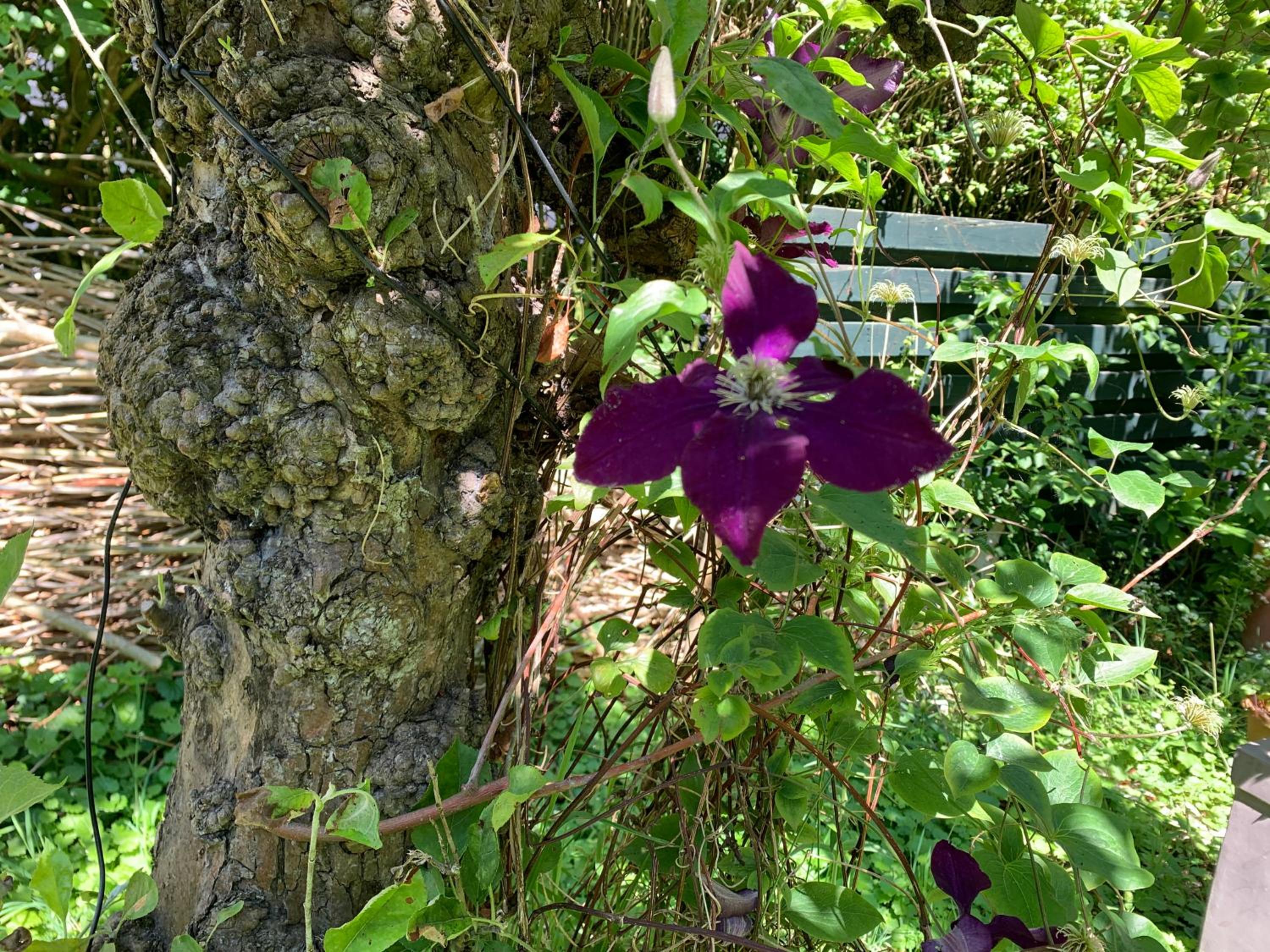Photo 28