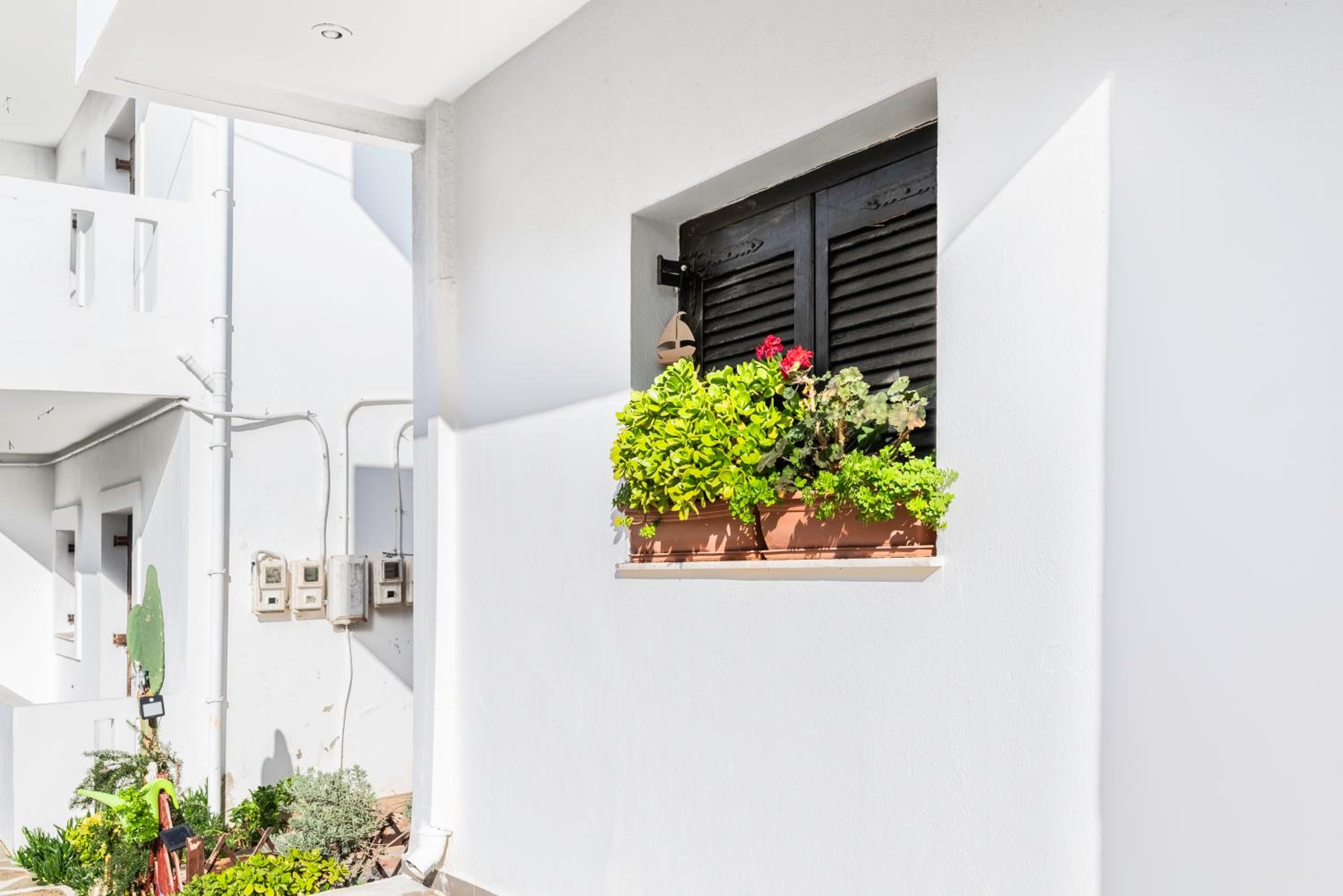 Dream studio near the sea with balcony ideal for relaxation view 3