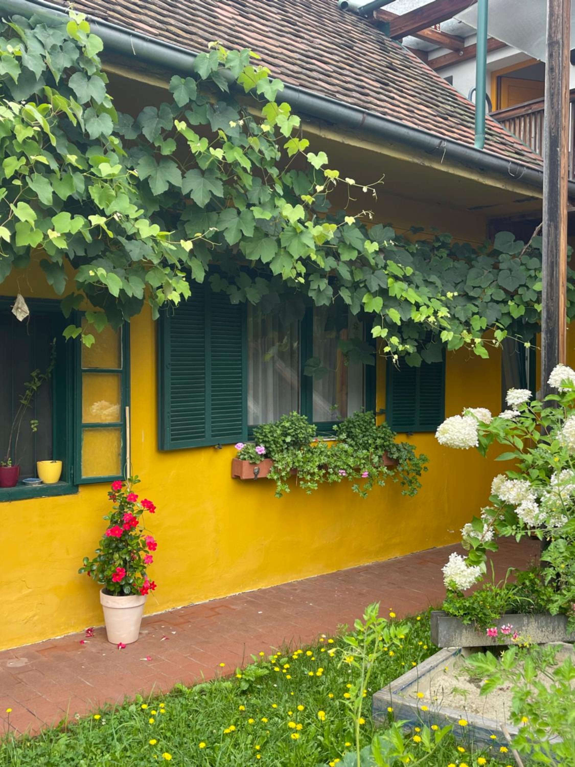 Bed & Breakfast Zum Alten Weinstock