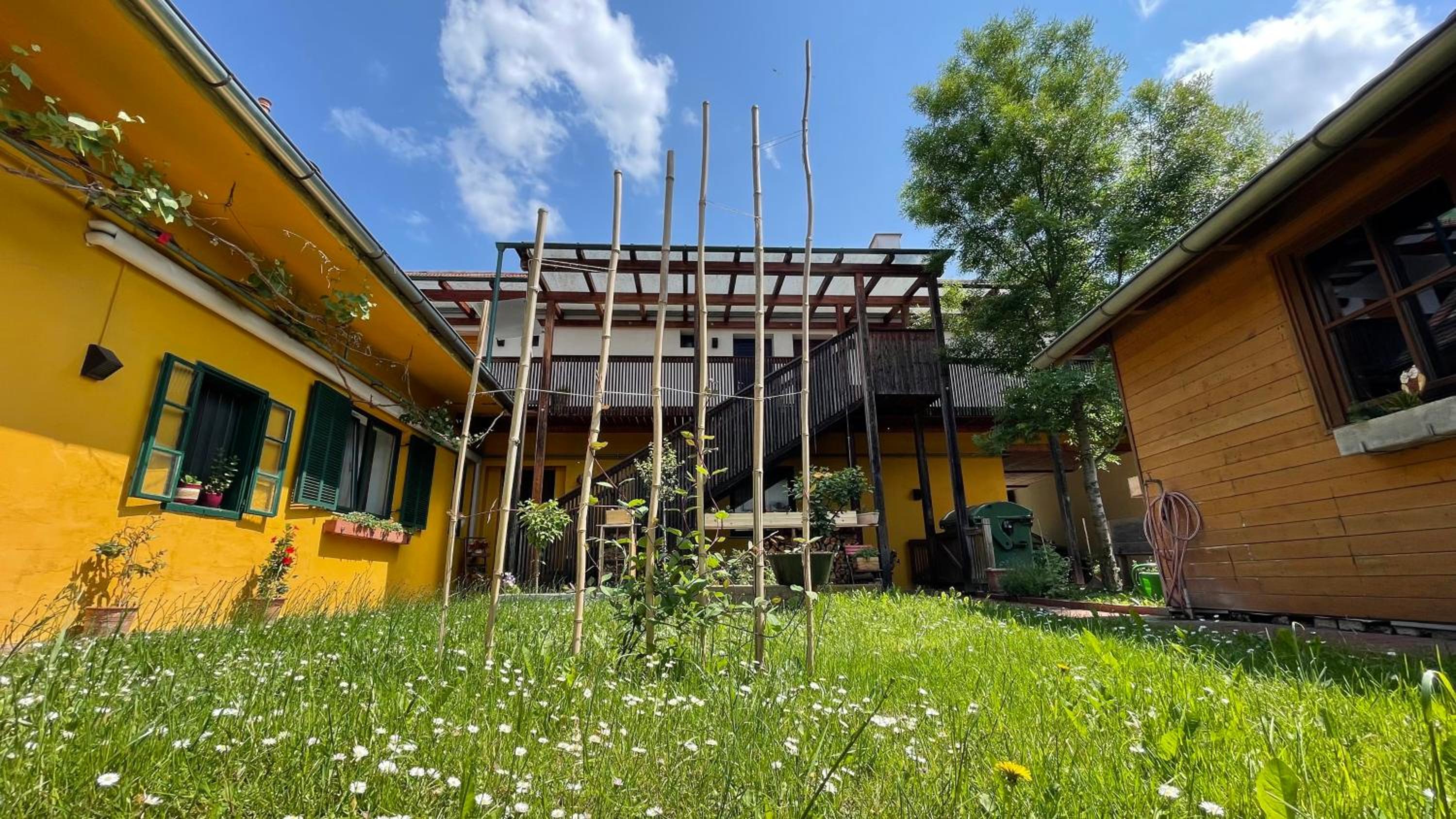 Bed & Breakfast Zum Alten Weinstock