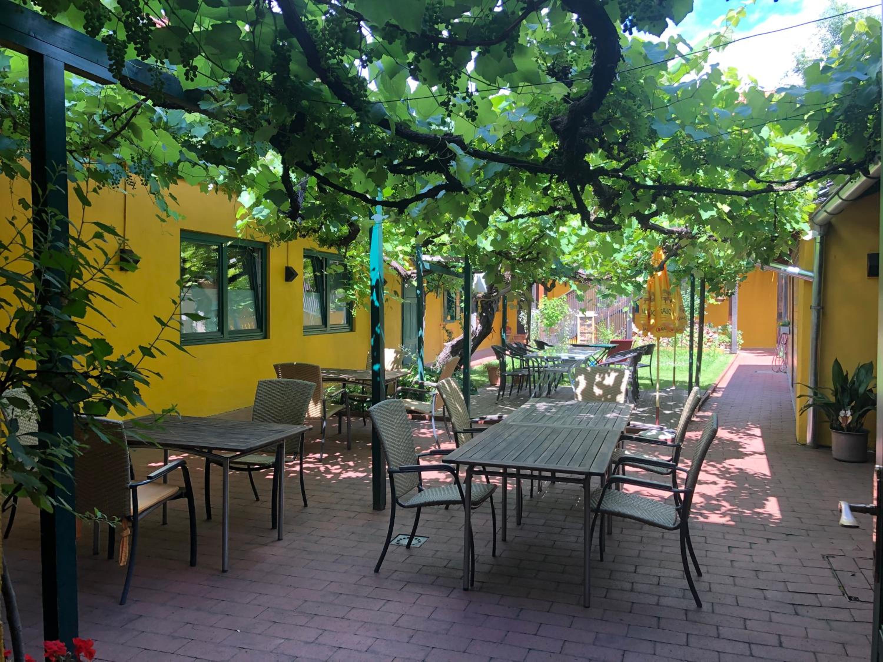 Bed & Breakfast Zum Alten Weinstock